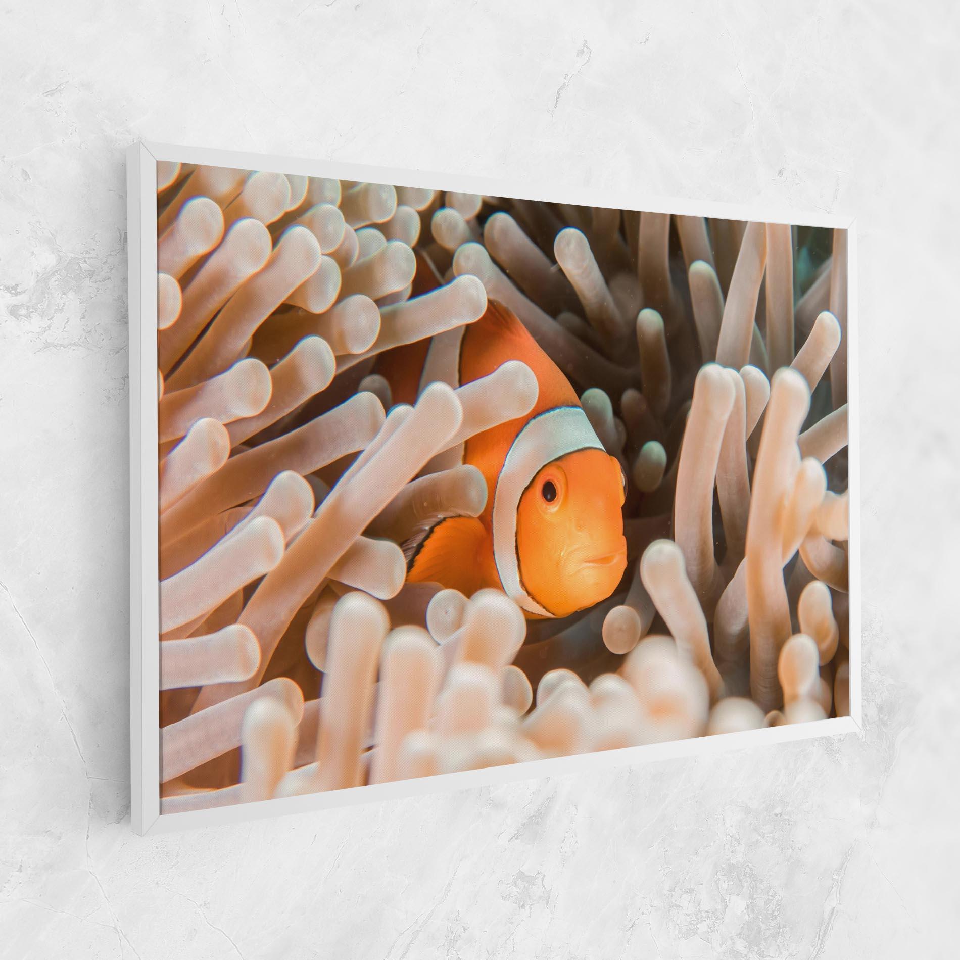 Tablou Canvas Cute Nemo mockup 1