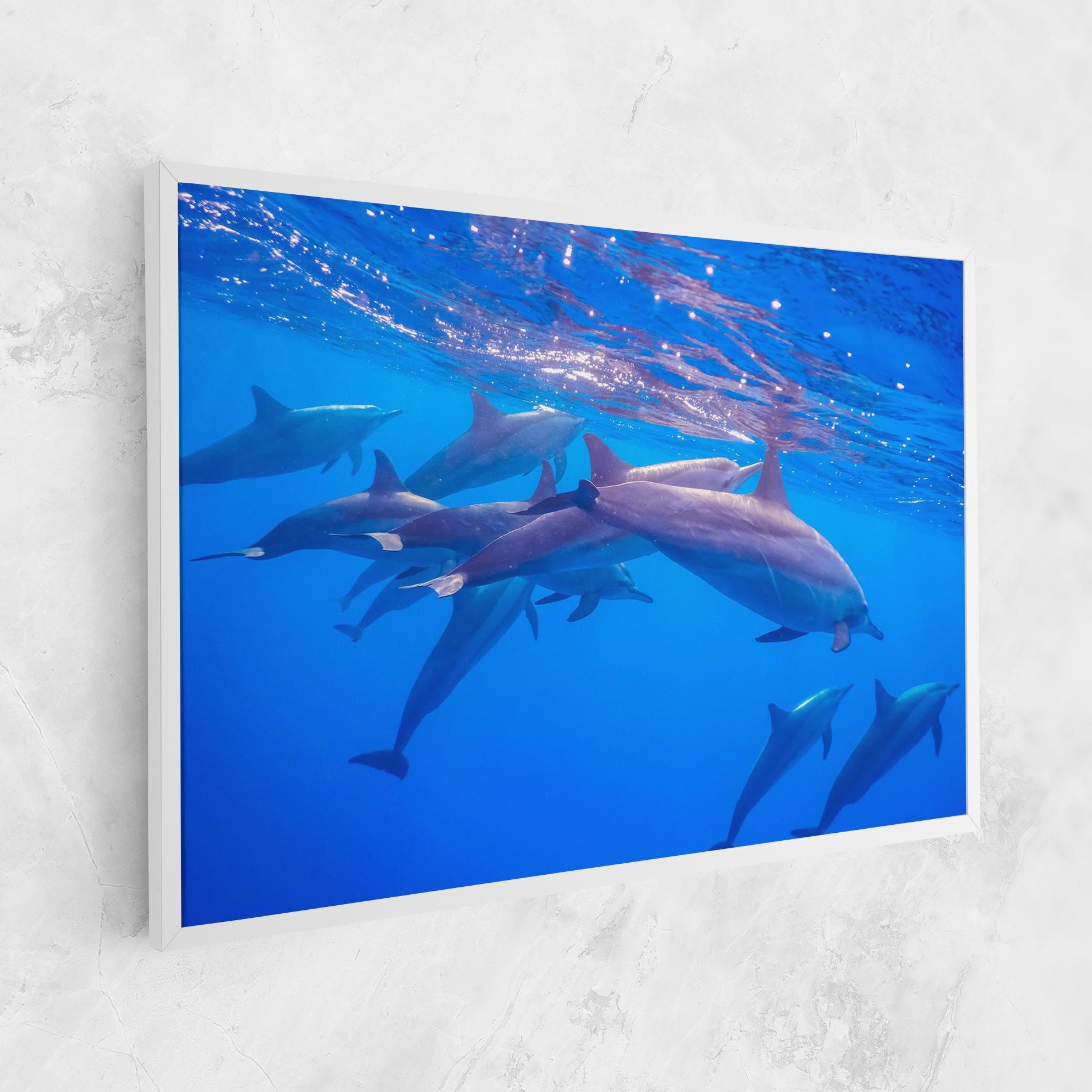 Dolphin Family mockup 1