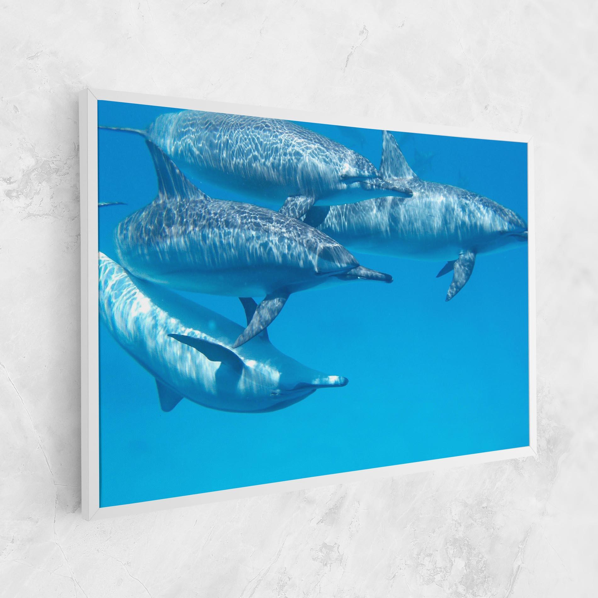 Tablou Canvas Family Of Dolphins mockup 1