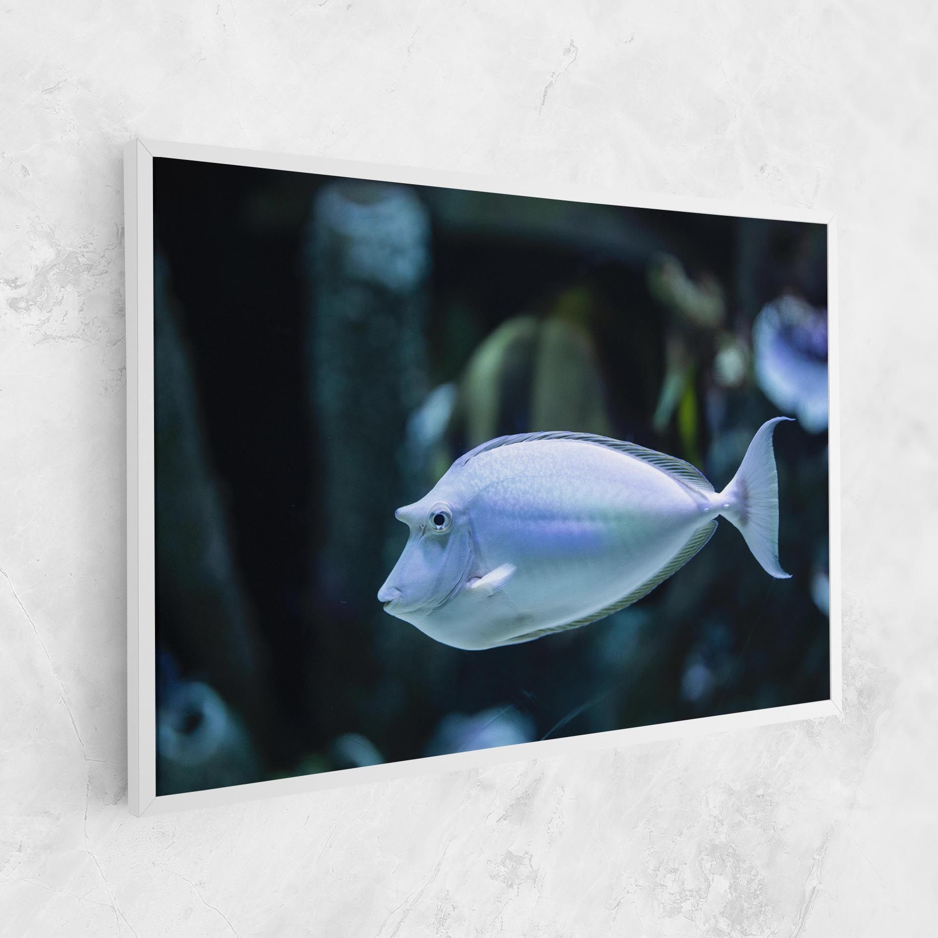 Funny Face Fish mockup 1