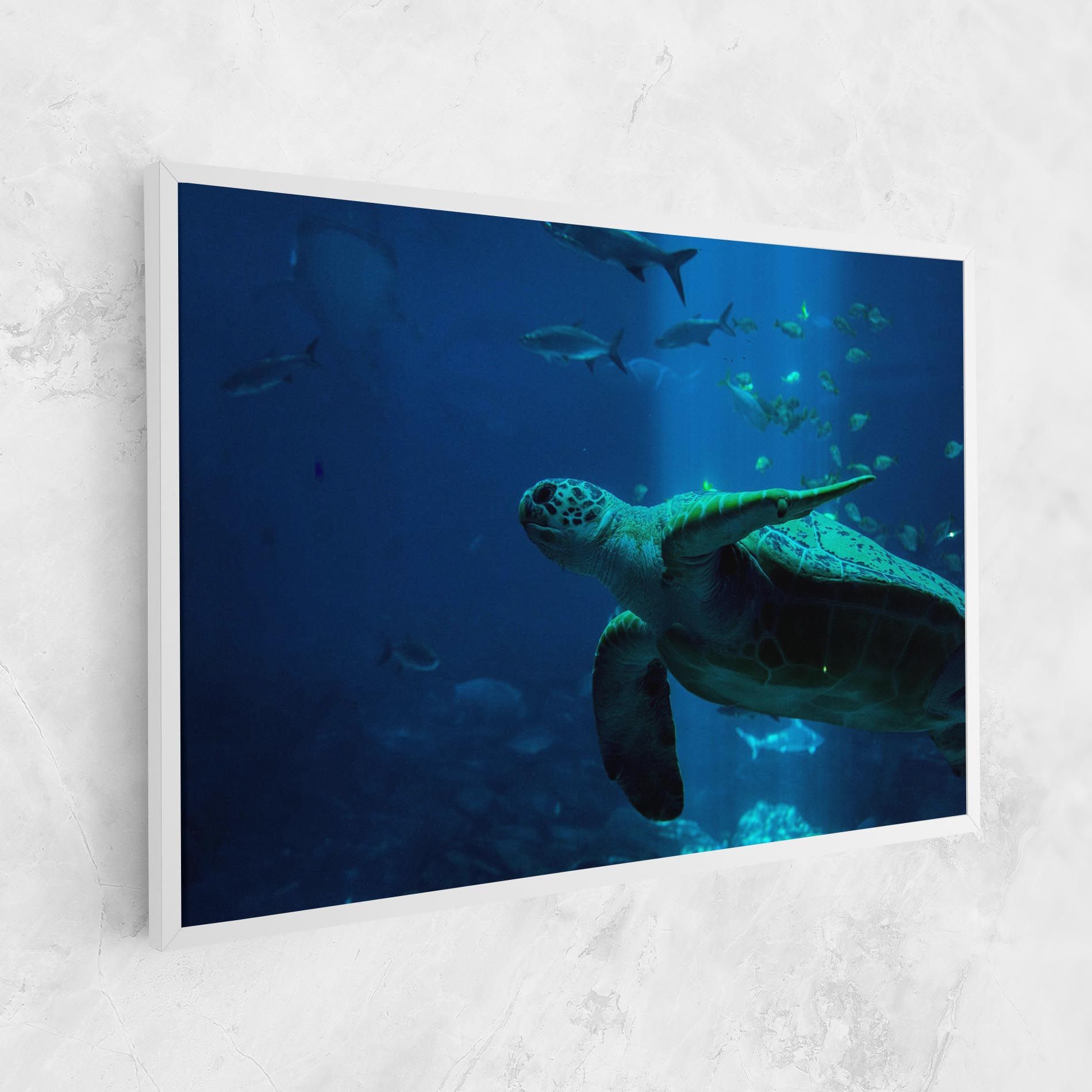 Green Turtule mockup 1