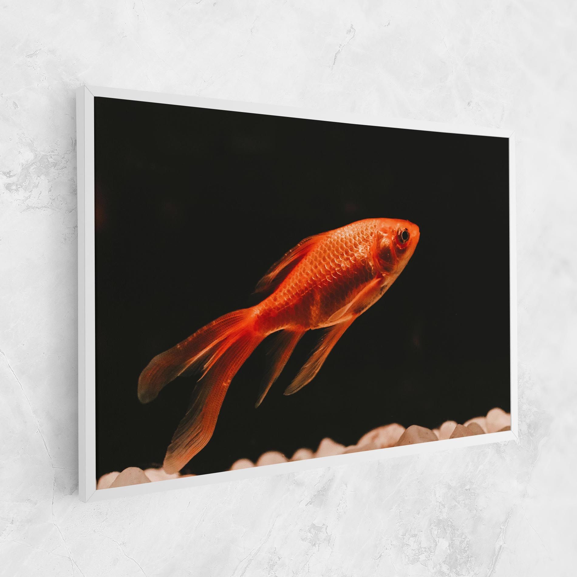 Small Orange Fish mockup 1