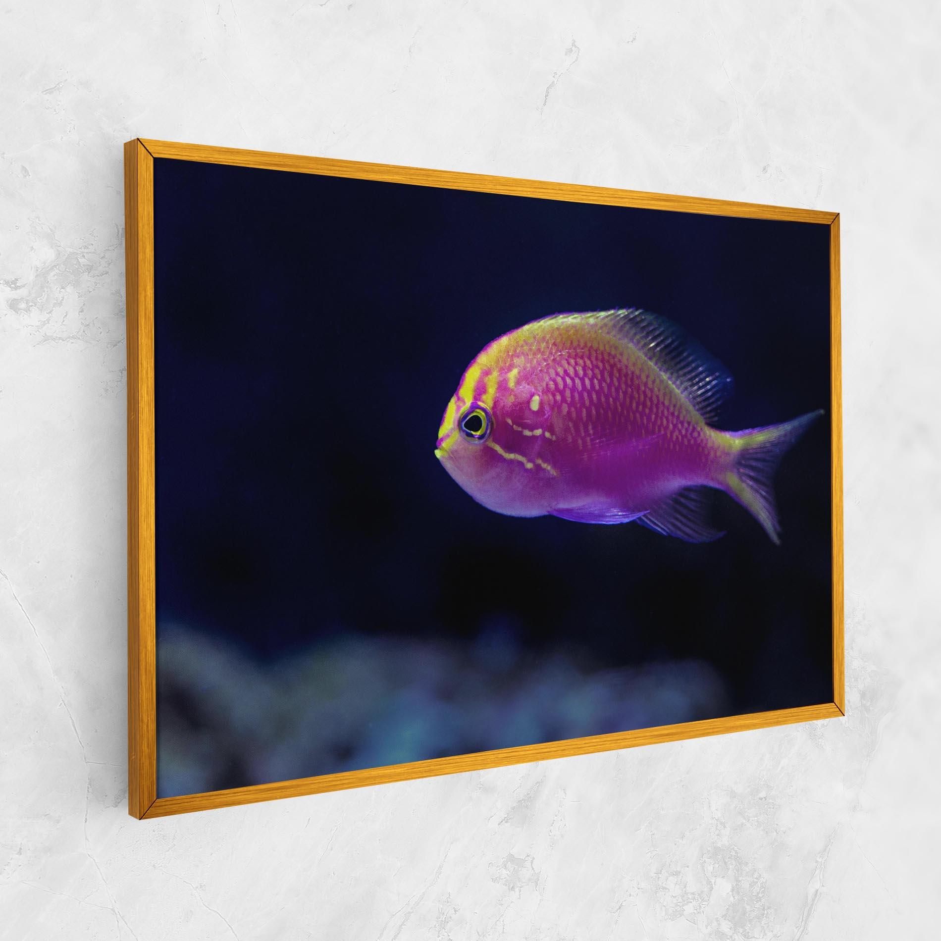 Tablou Canvas Angry Pink Fish mockup 1