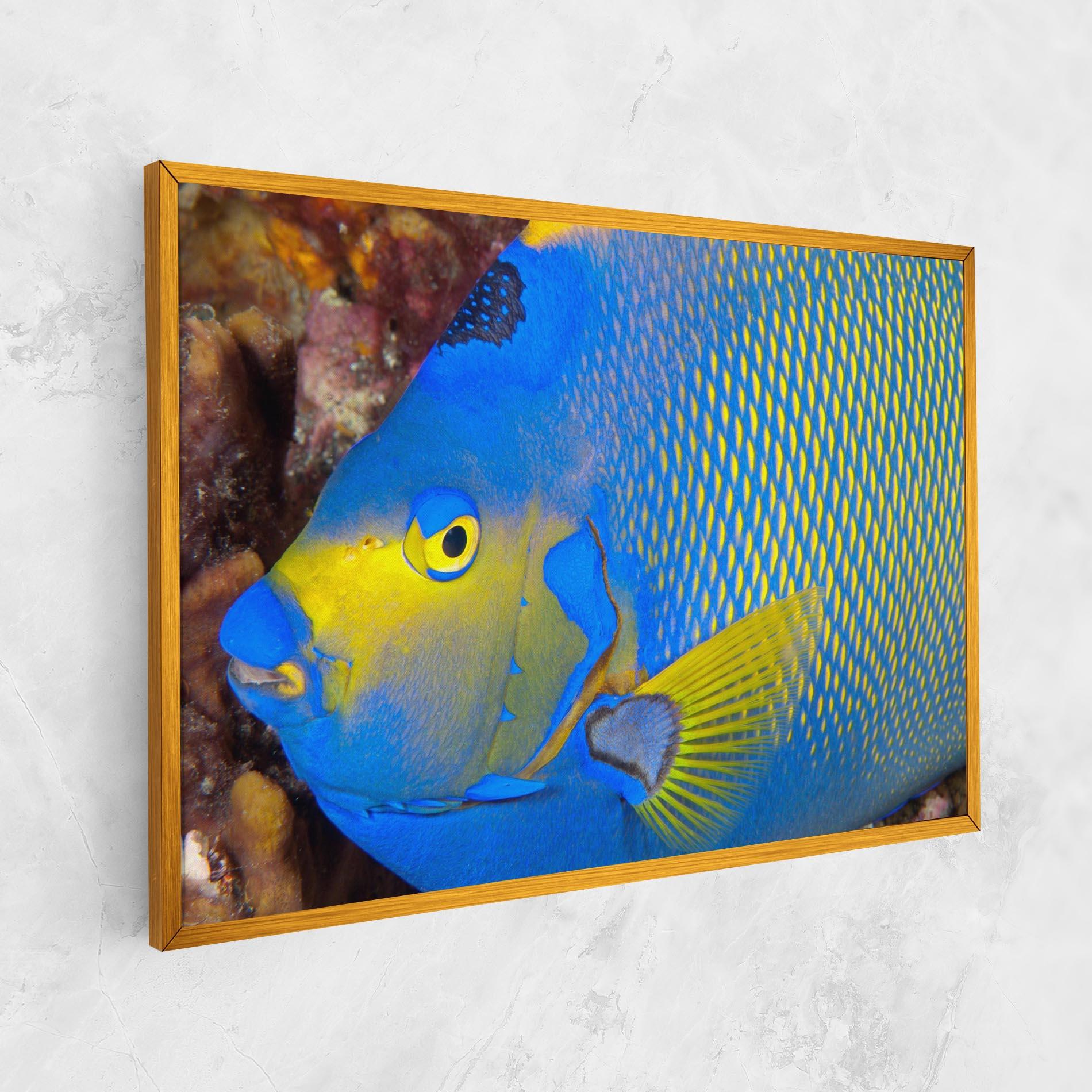 Tablou Canvas Blue Yellow Fish mockup 1