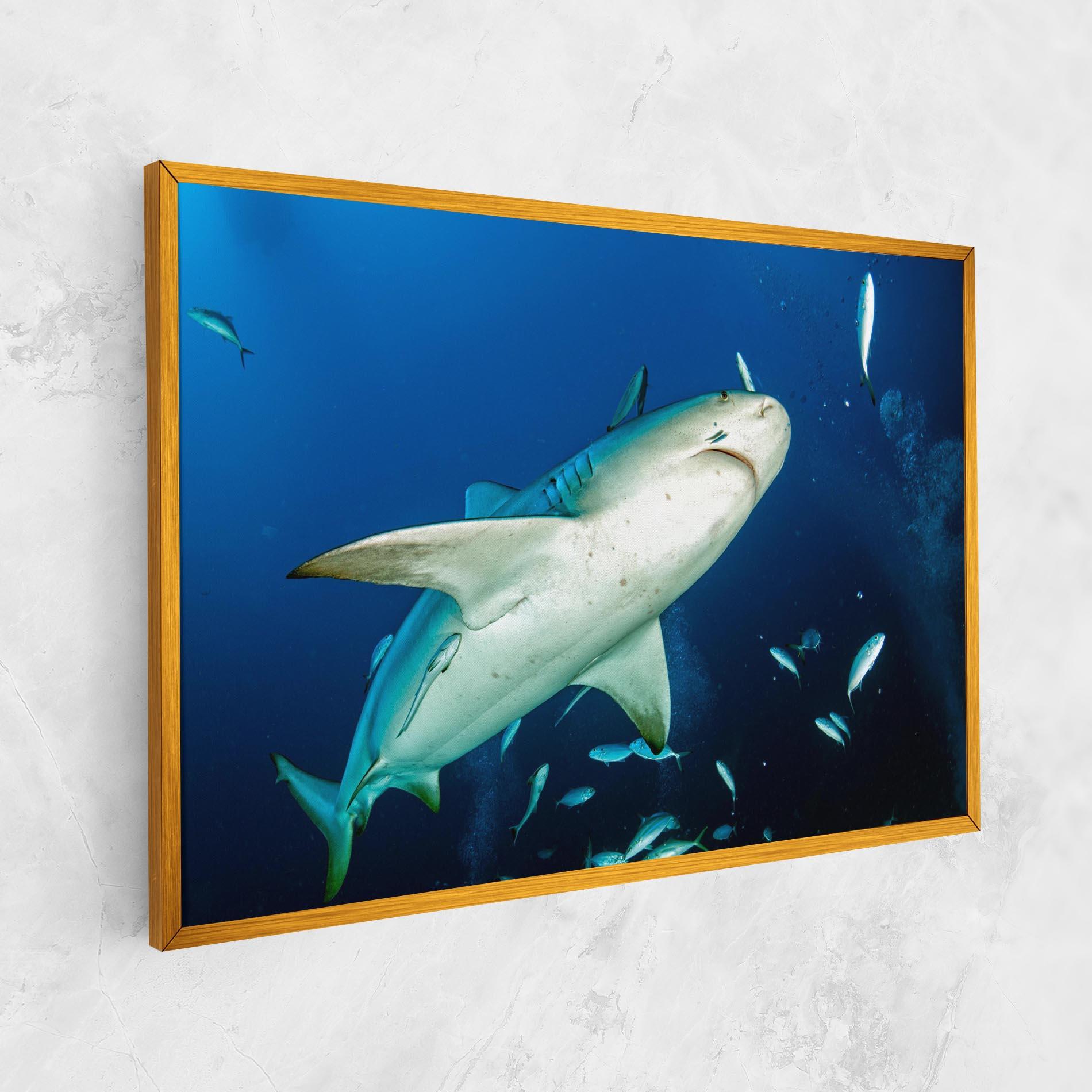 Tablou Canvas Bull Shark mockup 1