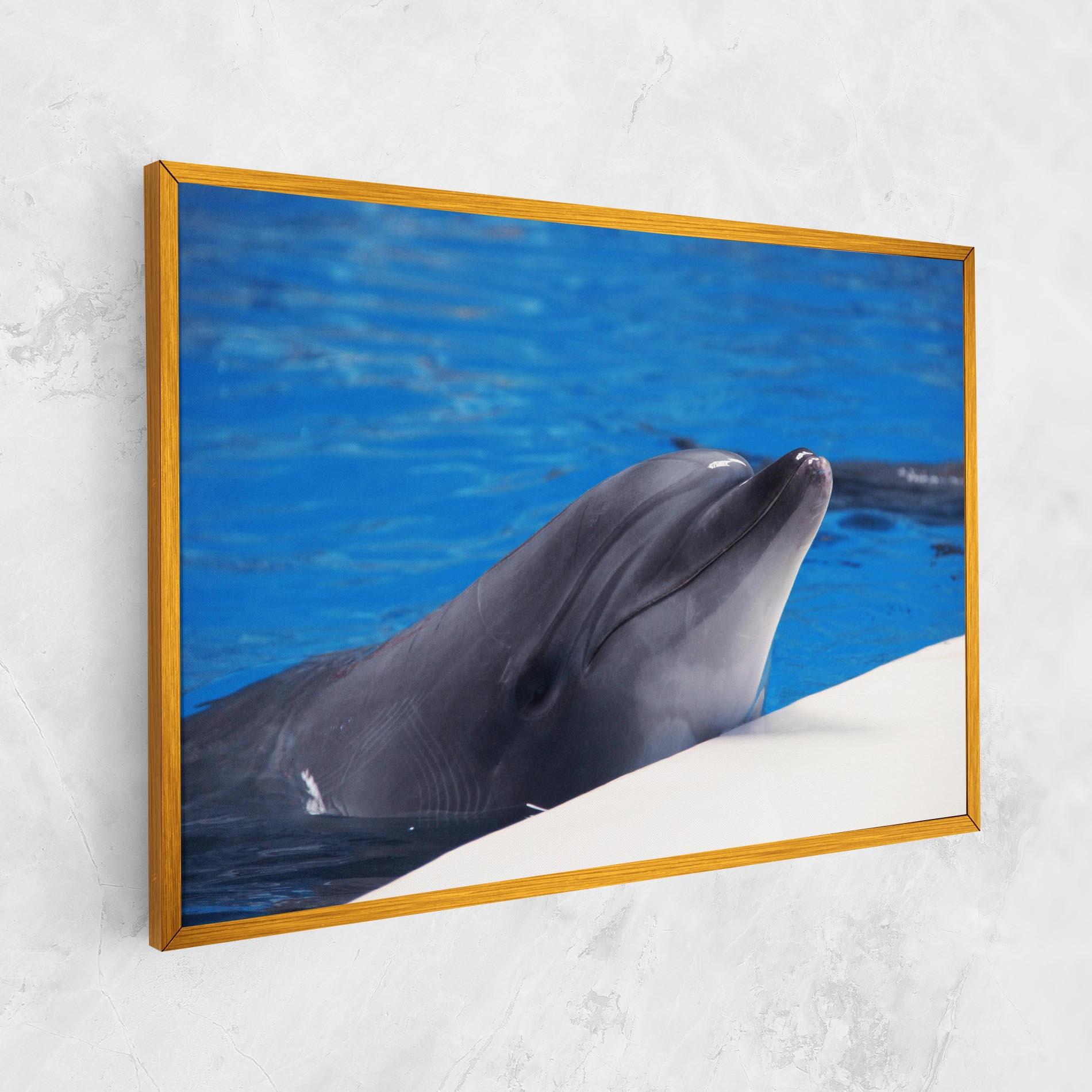 Tablou Canvas Cute Dolphin mockup 1