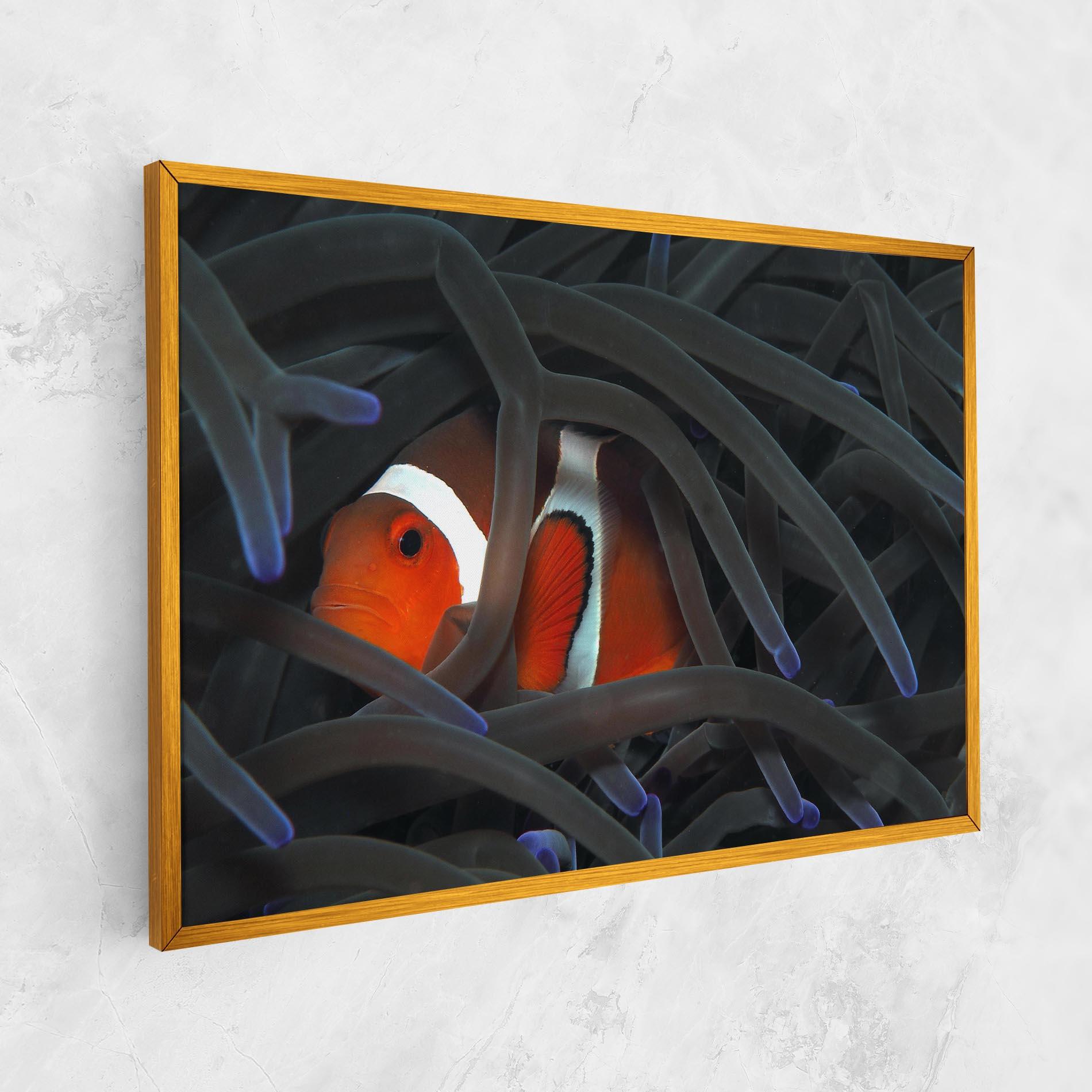Tablou Canvas Nemo Hiding mockup 1