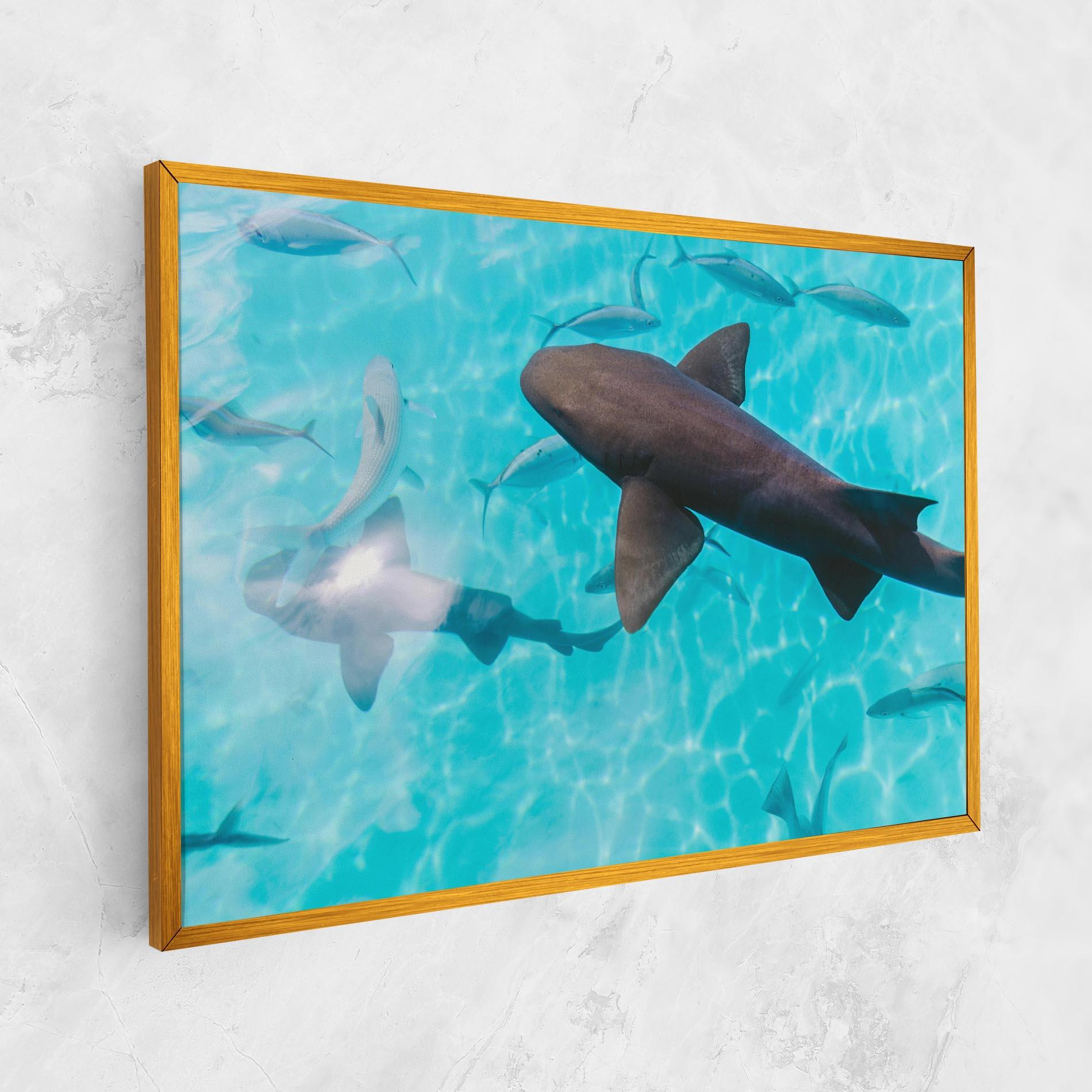 Tablou Canvas Pretty Shark mockup 1