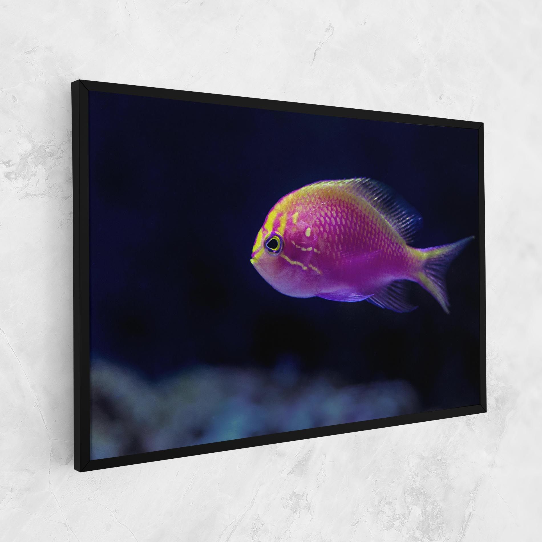 Angry Pink Fish mockup 1