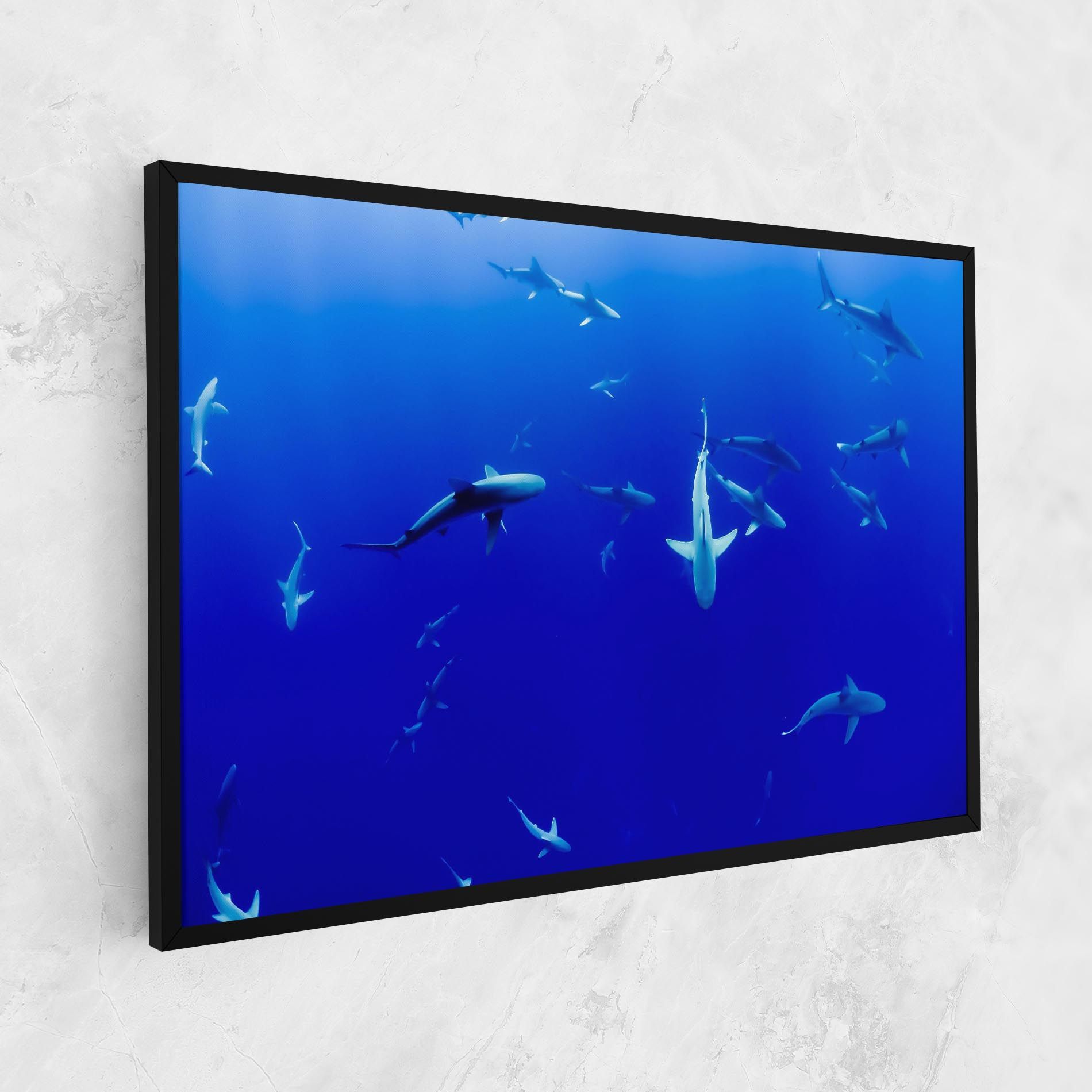 Baby Sharks mockup 1