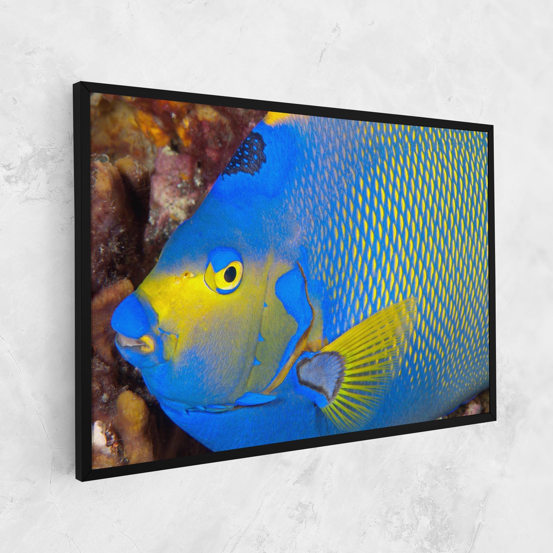 Tablou Canvas Blue Yellow Fish mockup 1