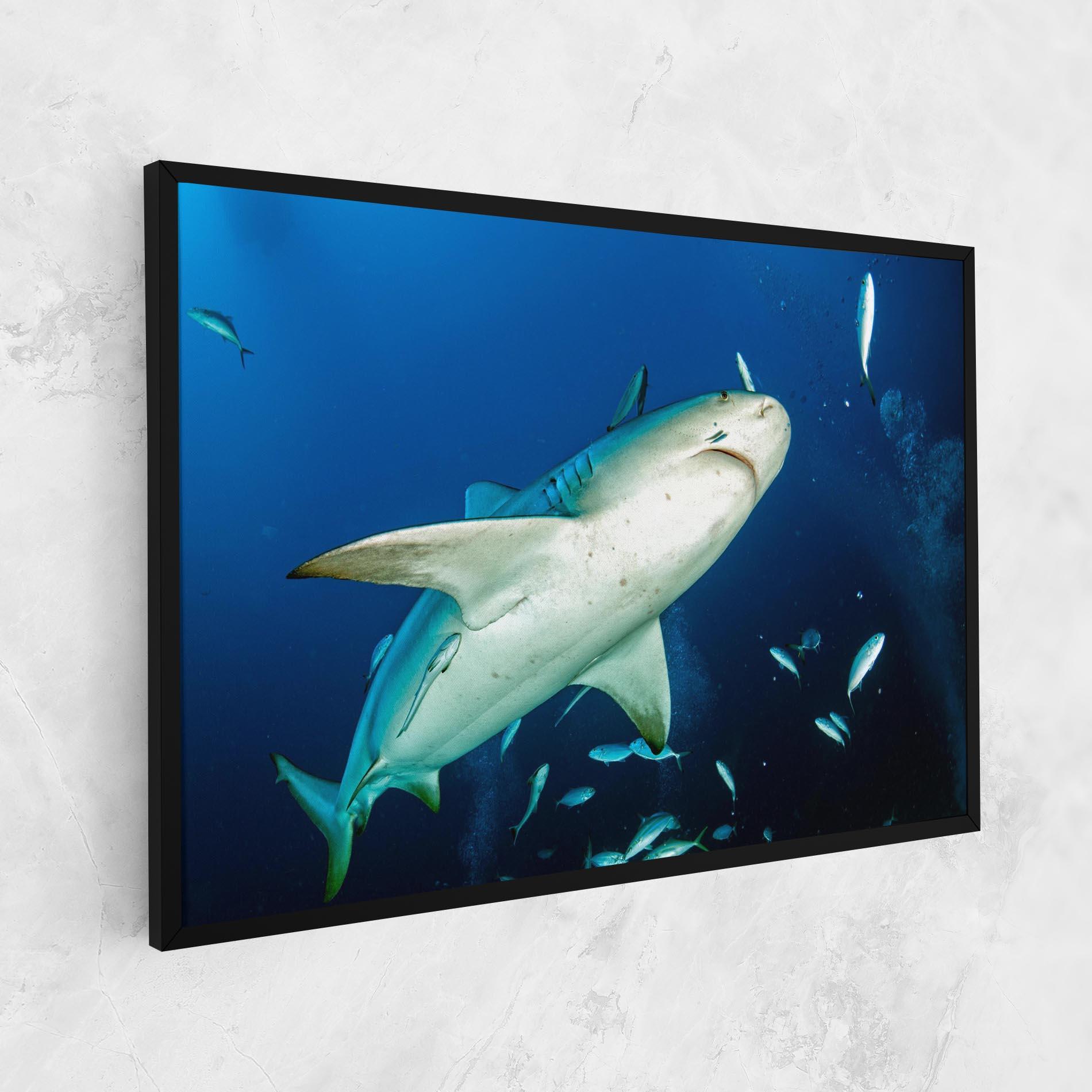 Tablou Canvas Bull Shark mockup 1