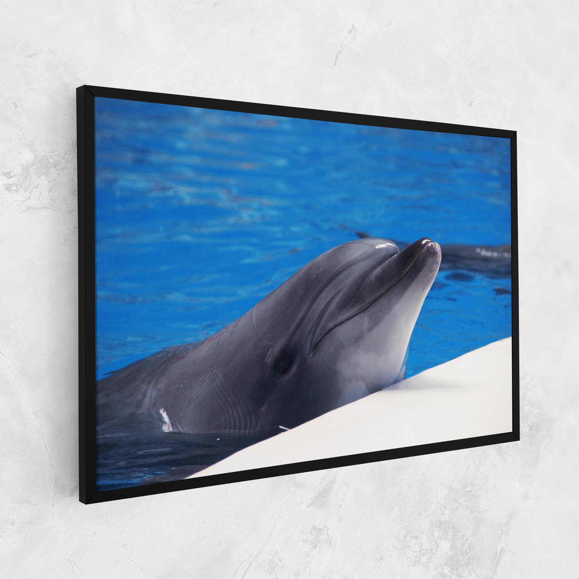 Tablou Canvas Cute Dolphin mockup 1