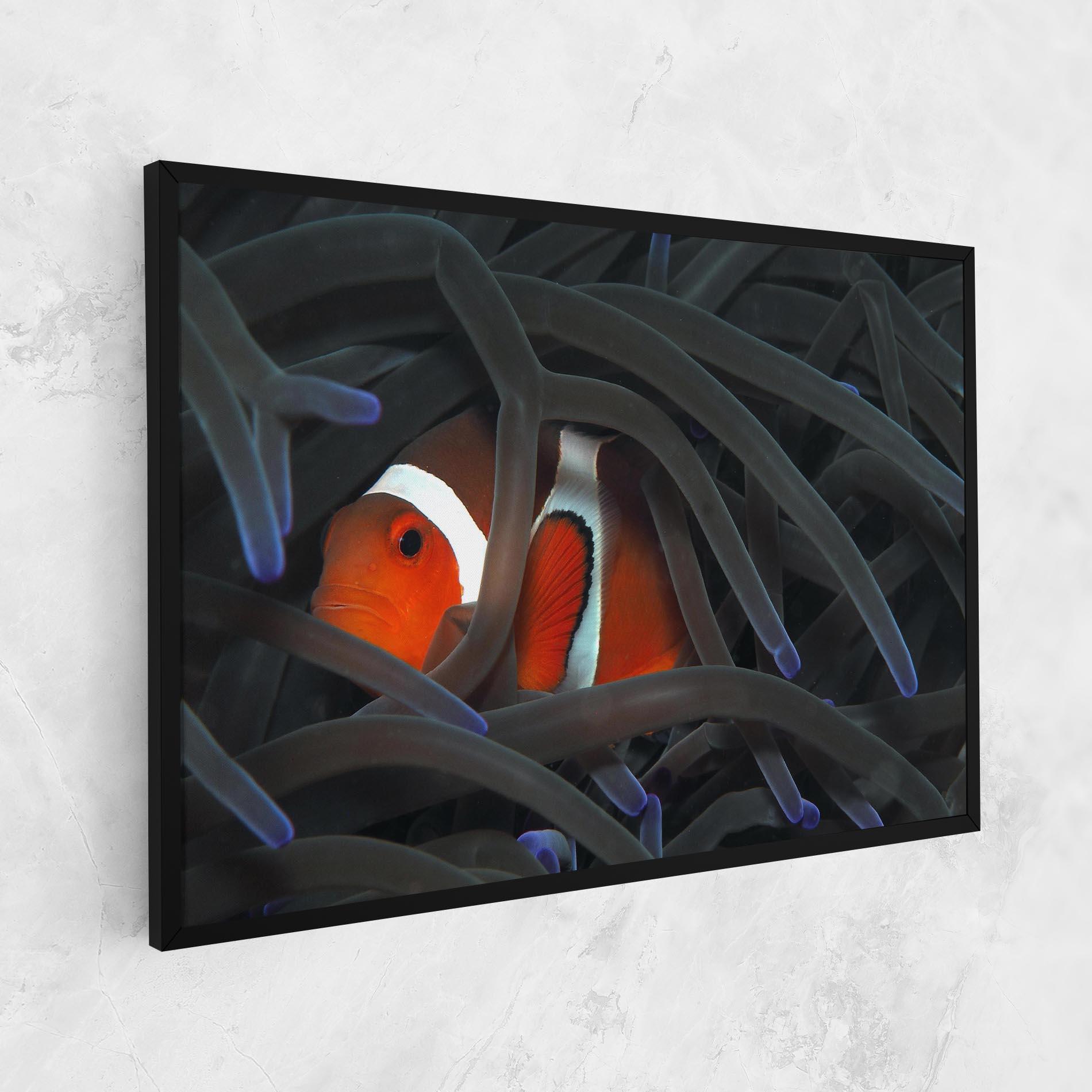 Tablou Canvas Nemo Hiding mockup 1