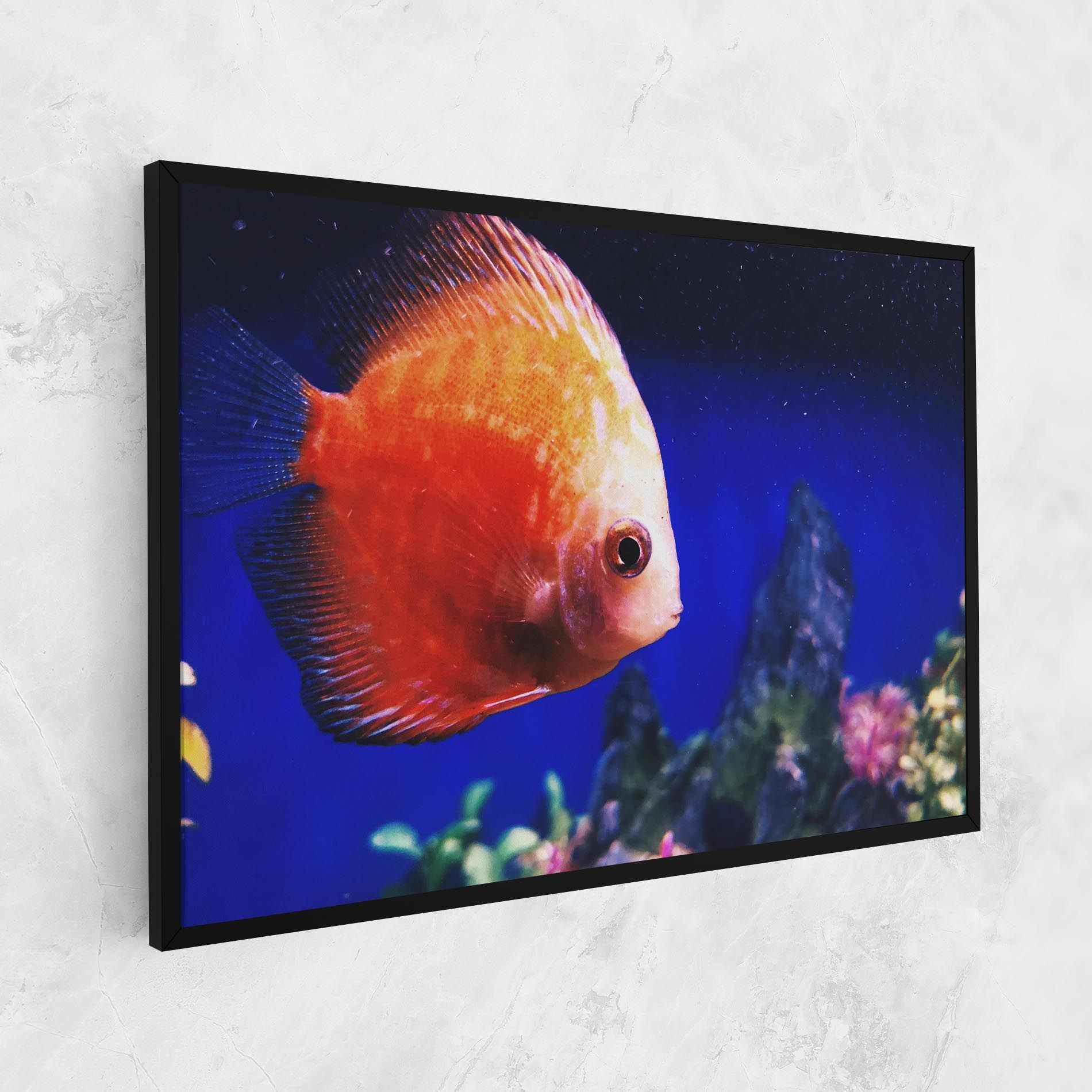 Pretty Orange Fish mockup 1