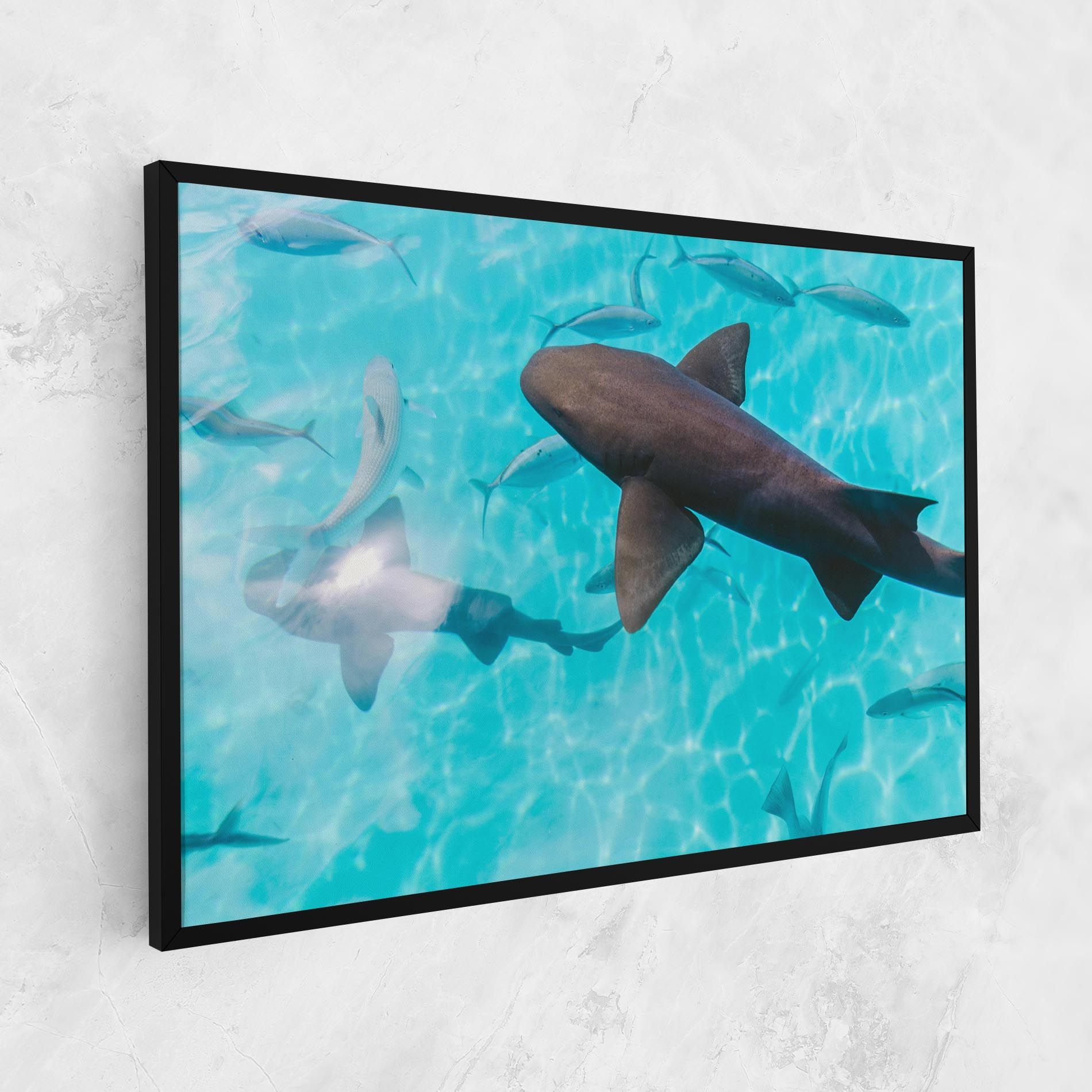 Pretty Shark mockup 1