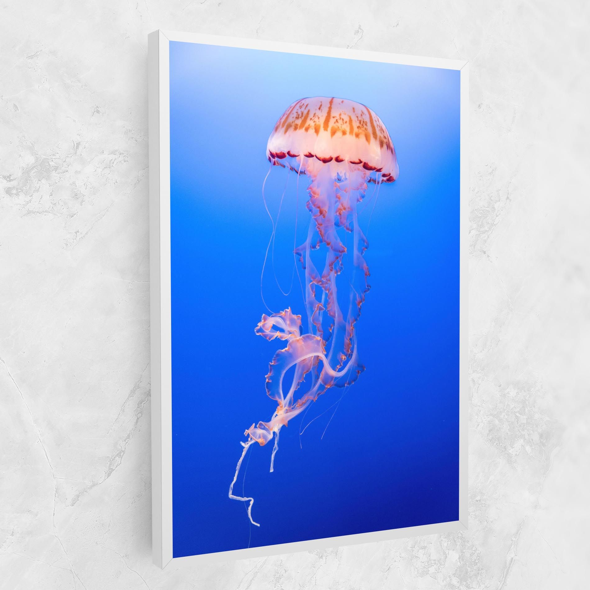 Pretty White Jellyfish mockup 1