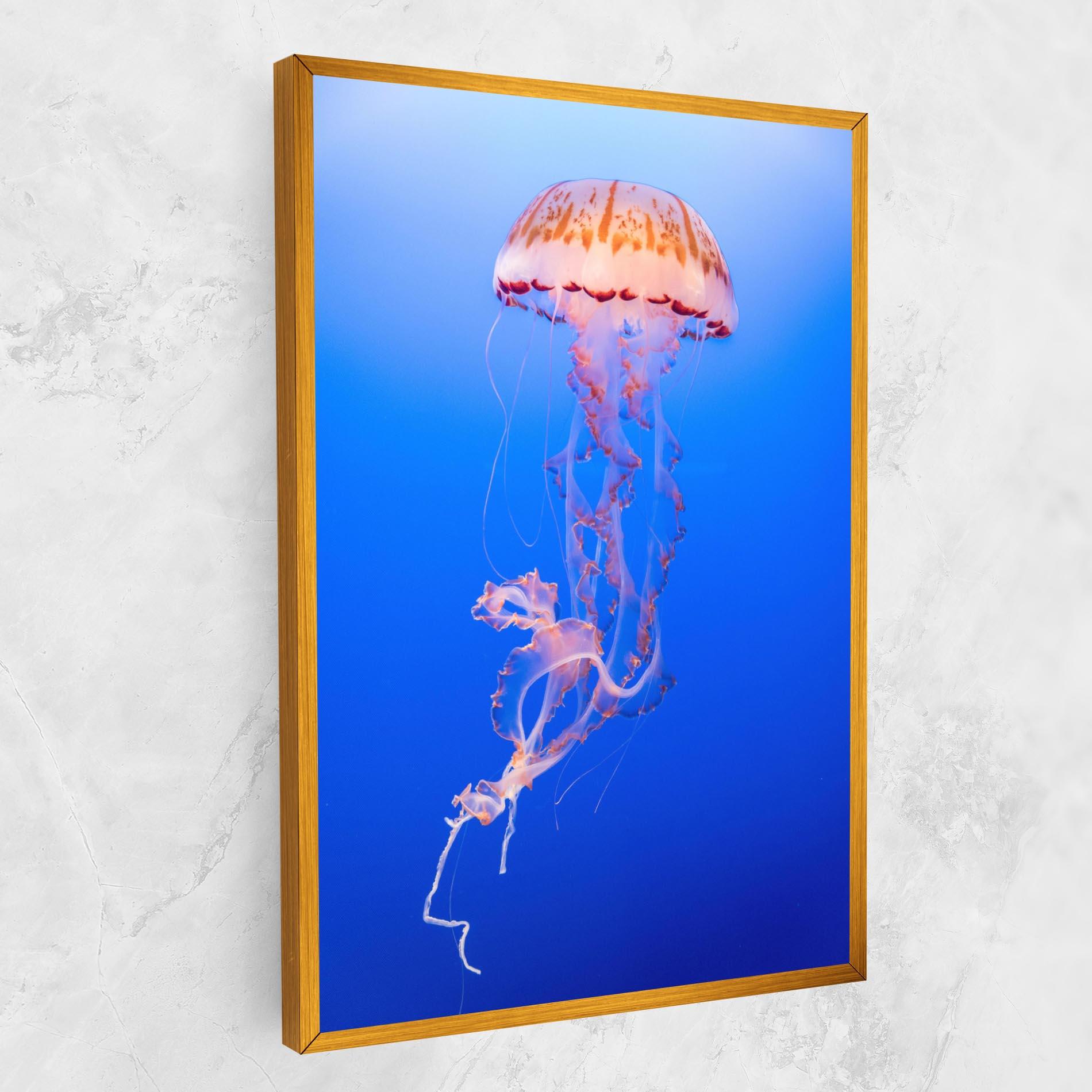 Tablou Canvas Pretty White Jellyfish mockup 1