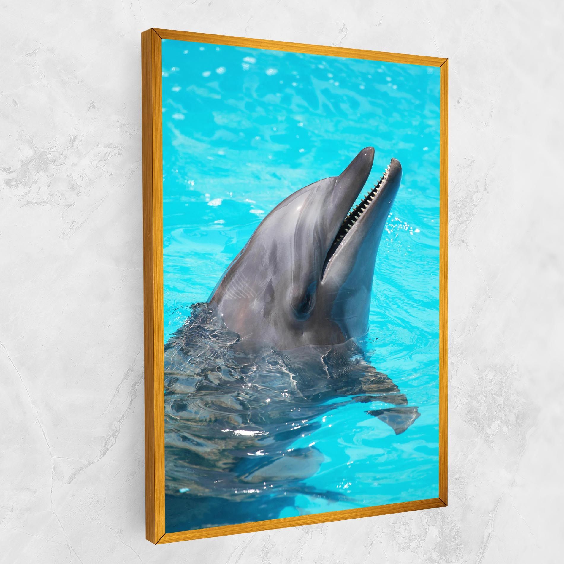 Trained Dolphin mockup 1