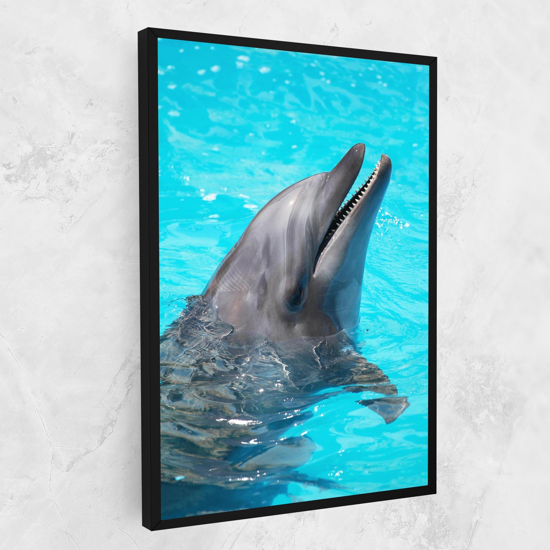 Tablou Canvas Trained Dolphin mockup 1