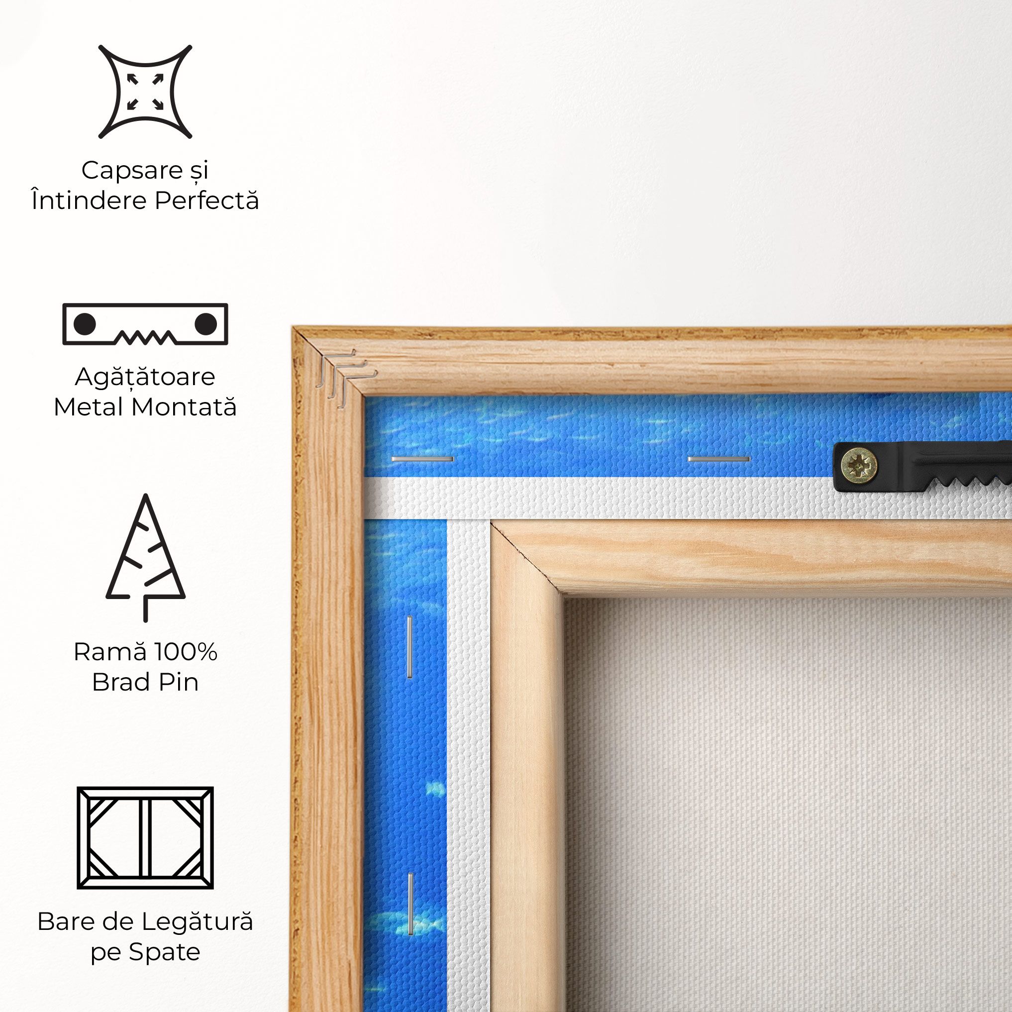 Aquarium Girl mockup 5