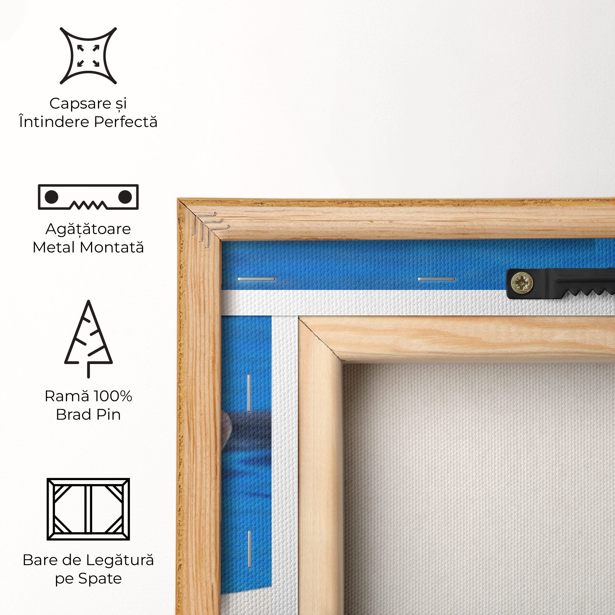 Cute Dolphin mockup 5