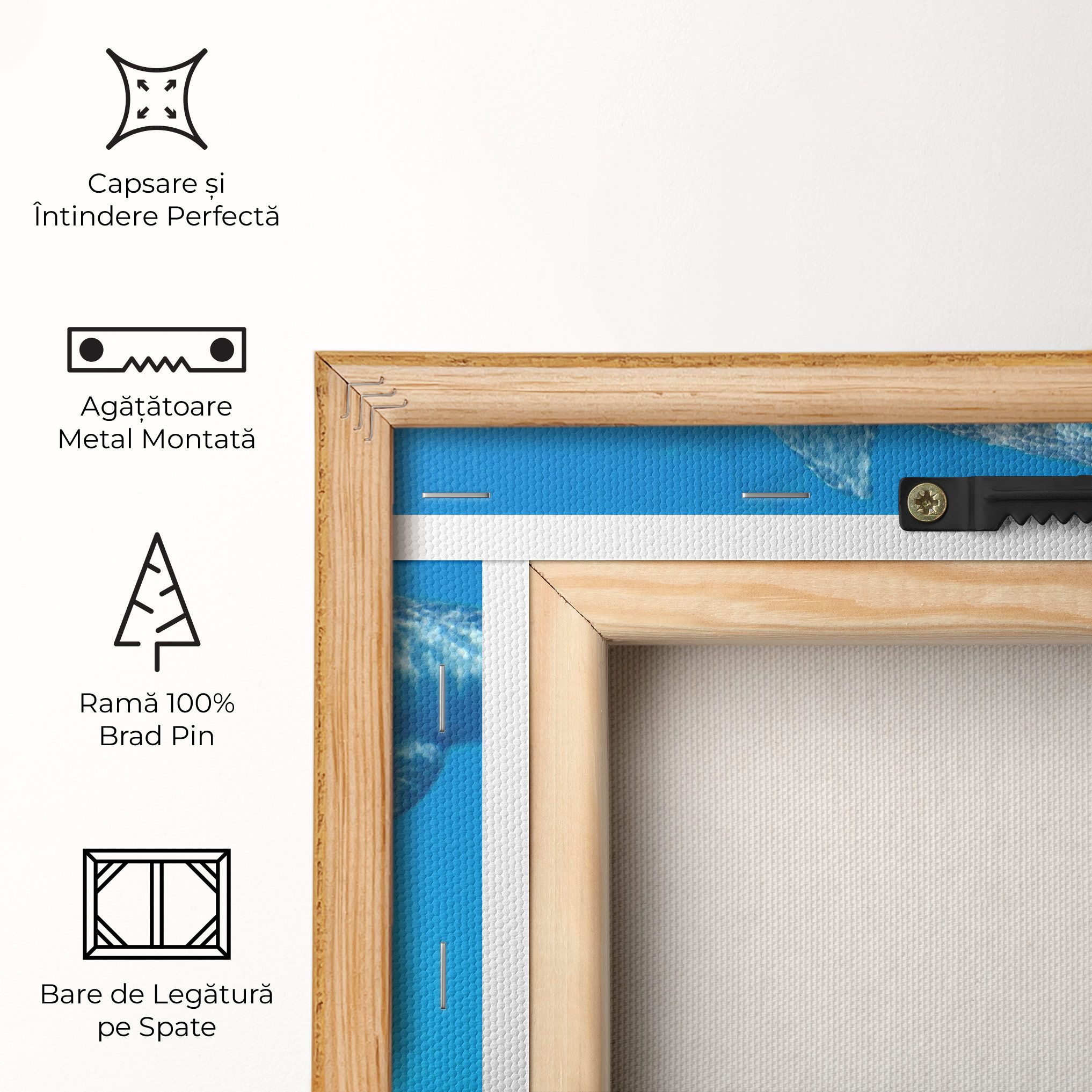 Family Of Dolphins mockup 5