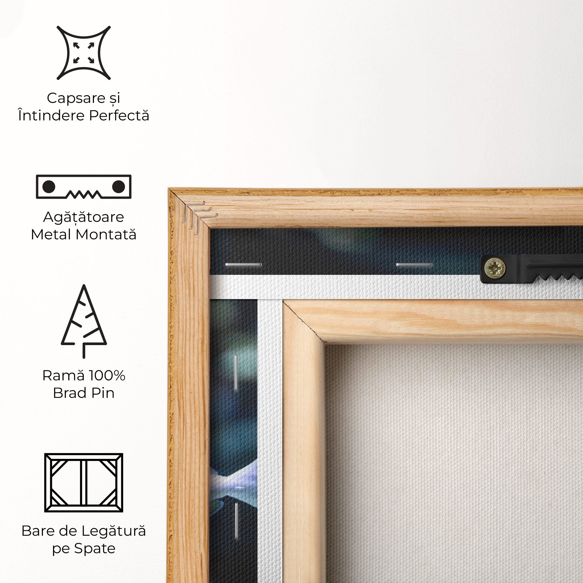 Funny Face Fish mockup 5