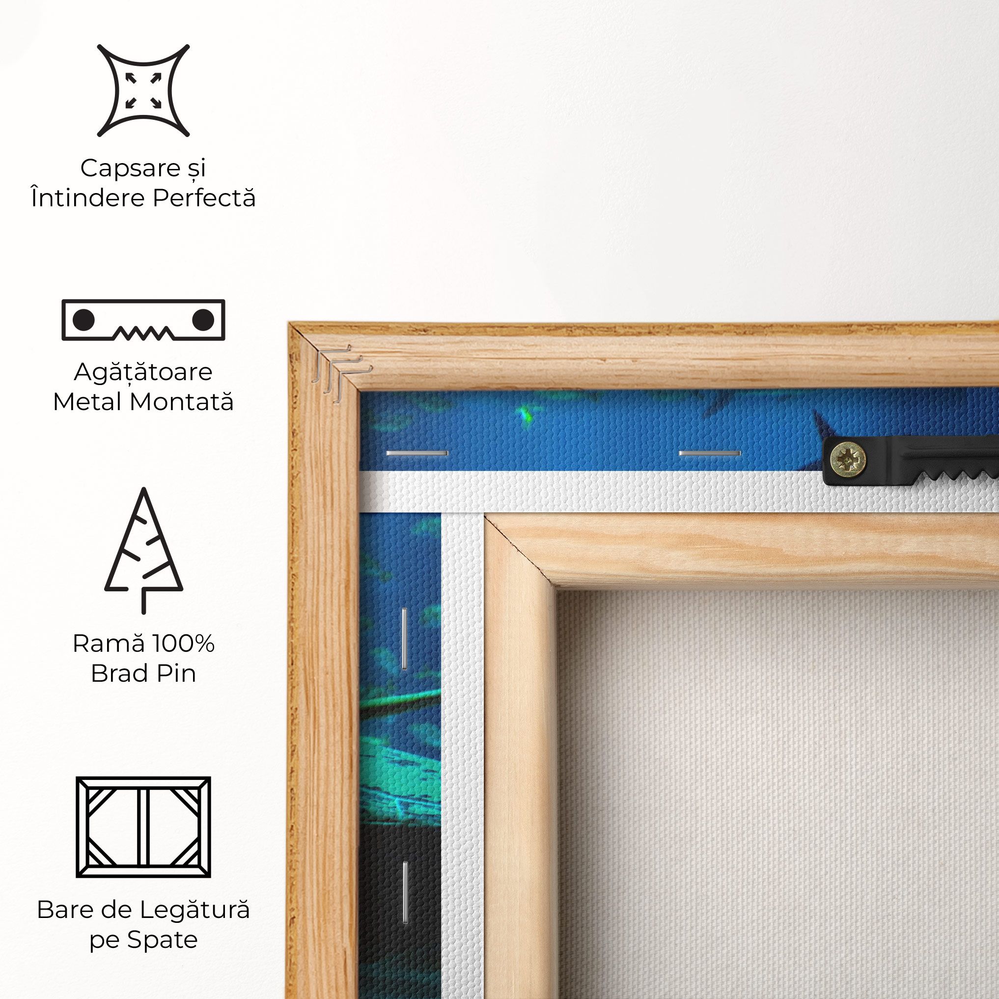 Green Turtule mockup 5