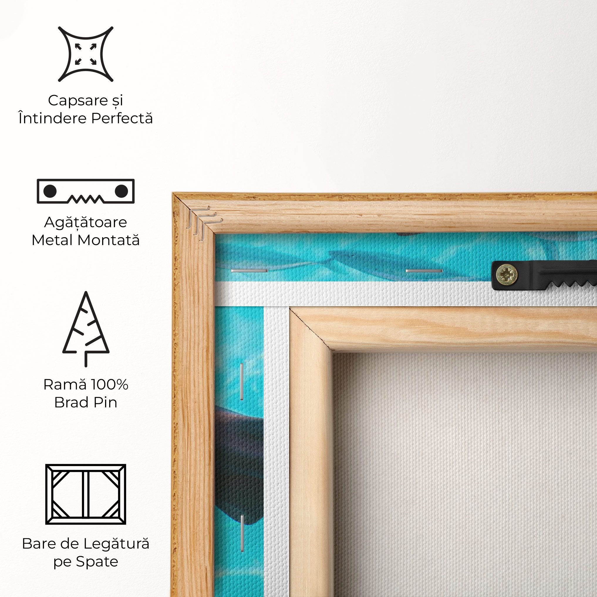 Pretty Shark mockup 5