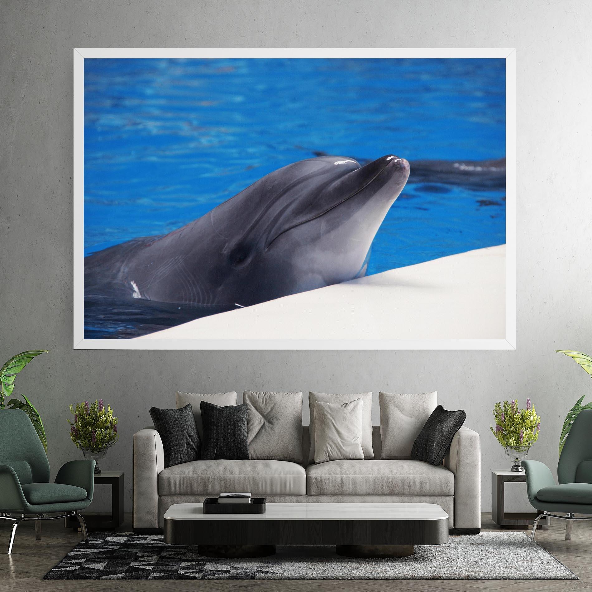 Tablou Canvas Cute Dolphin mockup 7