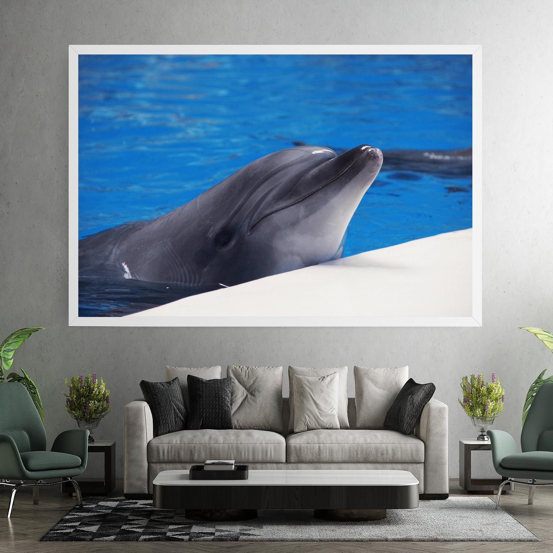 Cute Dolphin mockup 7