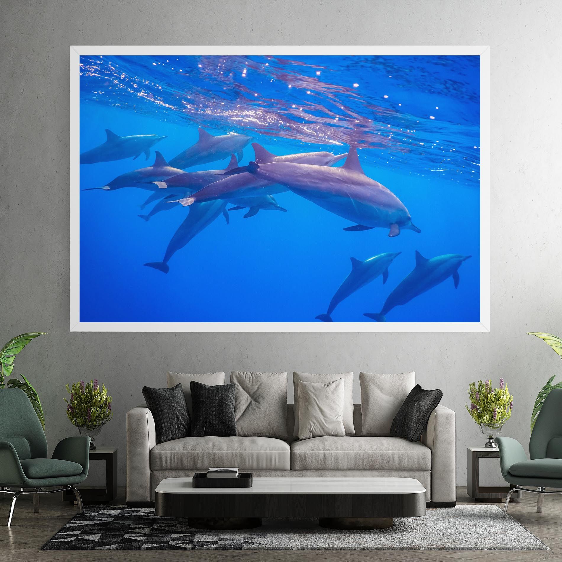 Dolphin Family mockup 7