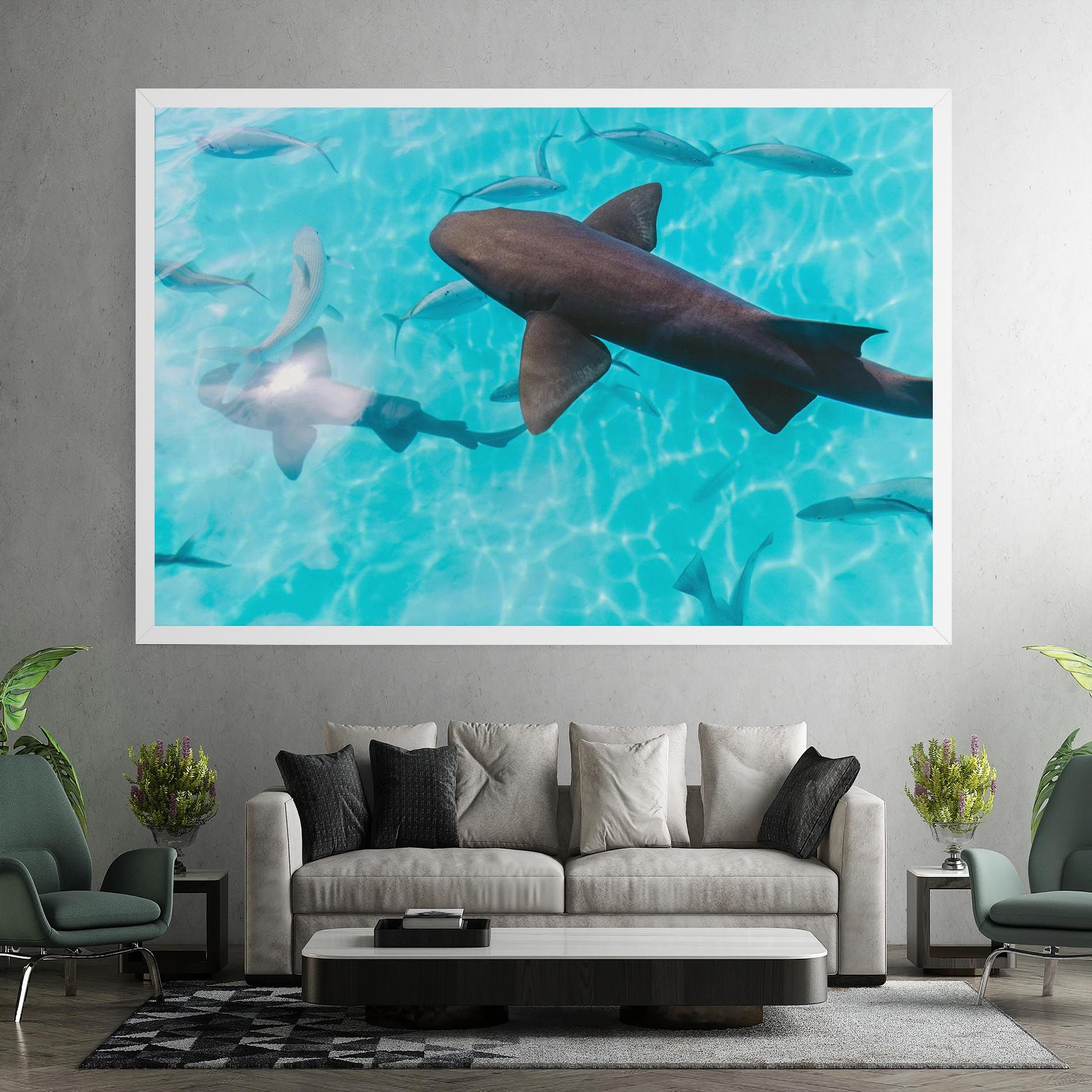 Pretty Shark mockup 7