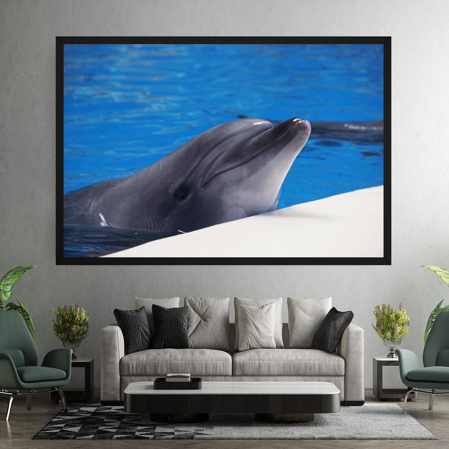 Cute Dolphin mockup 7