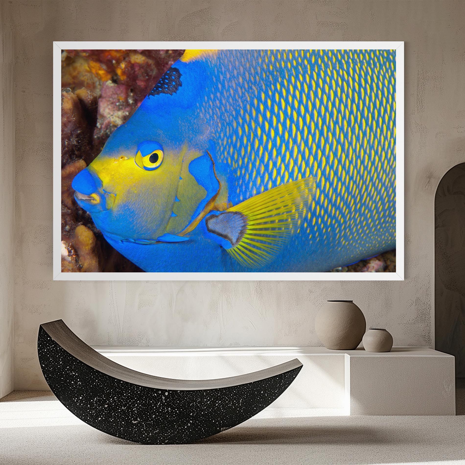 Blue Yellow Fish mockup 8