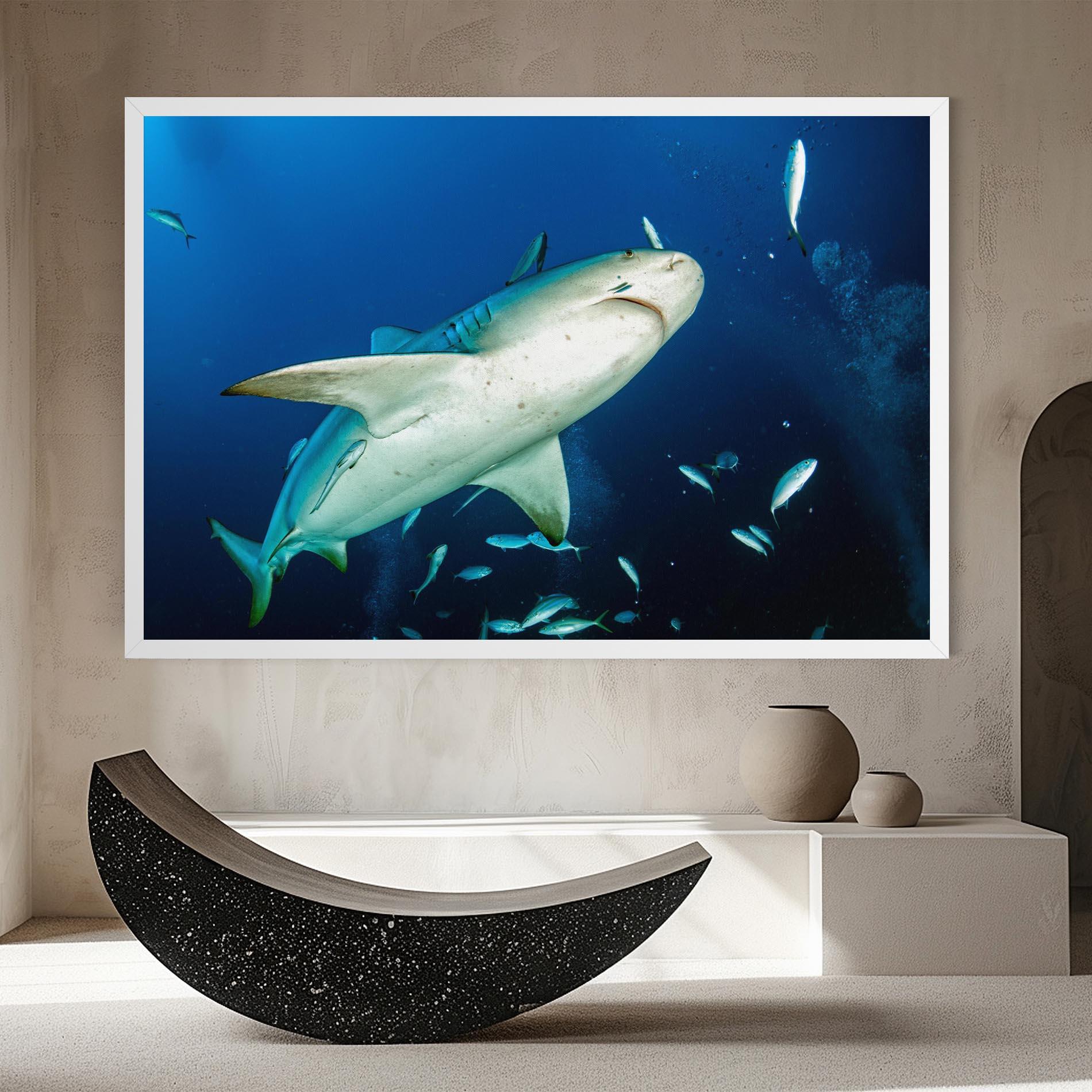 Tablou Canvas Bull Shark mockup 8