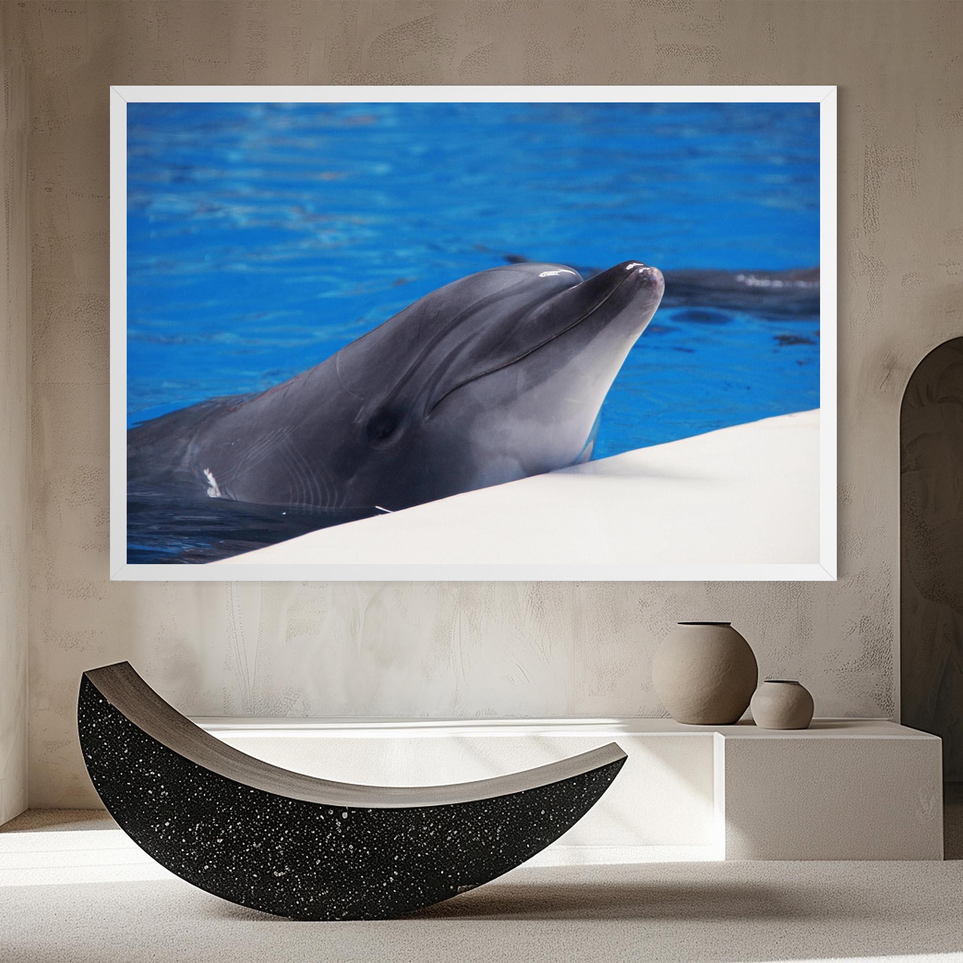 Tablou Canvas Cute Dolphin mockup 8