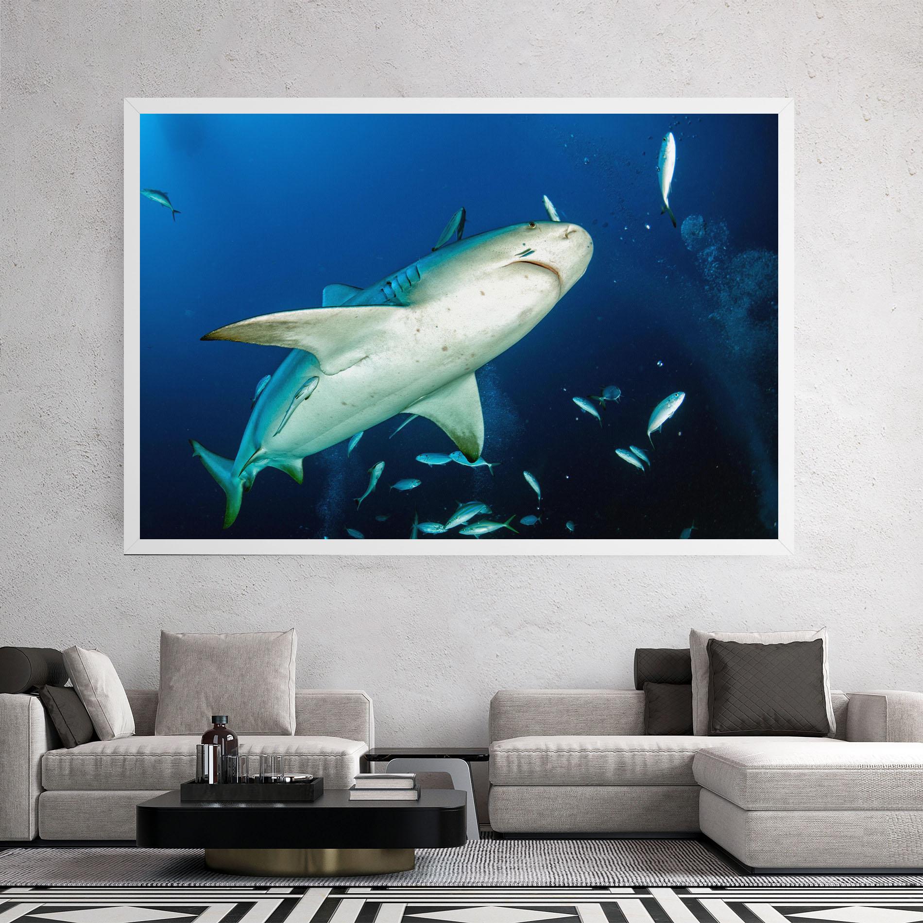 Tablou Canvas Bull Shark mockup 2