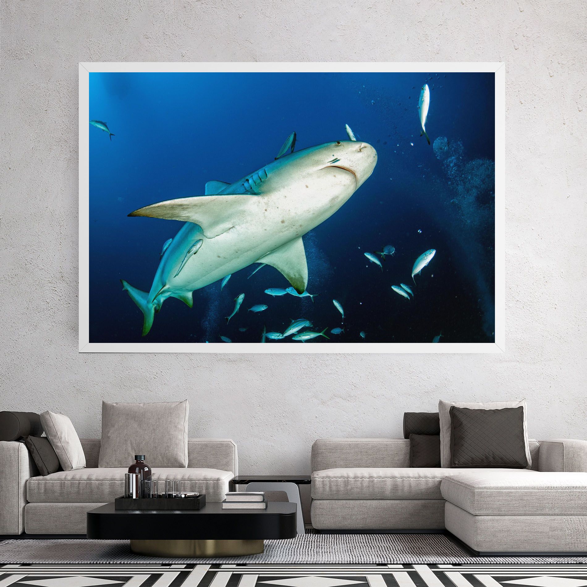 Bull Shark mockup 2