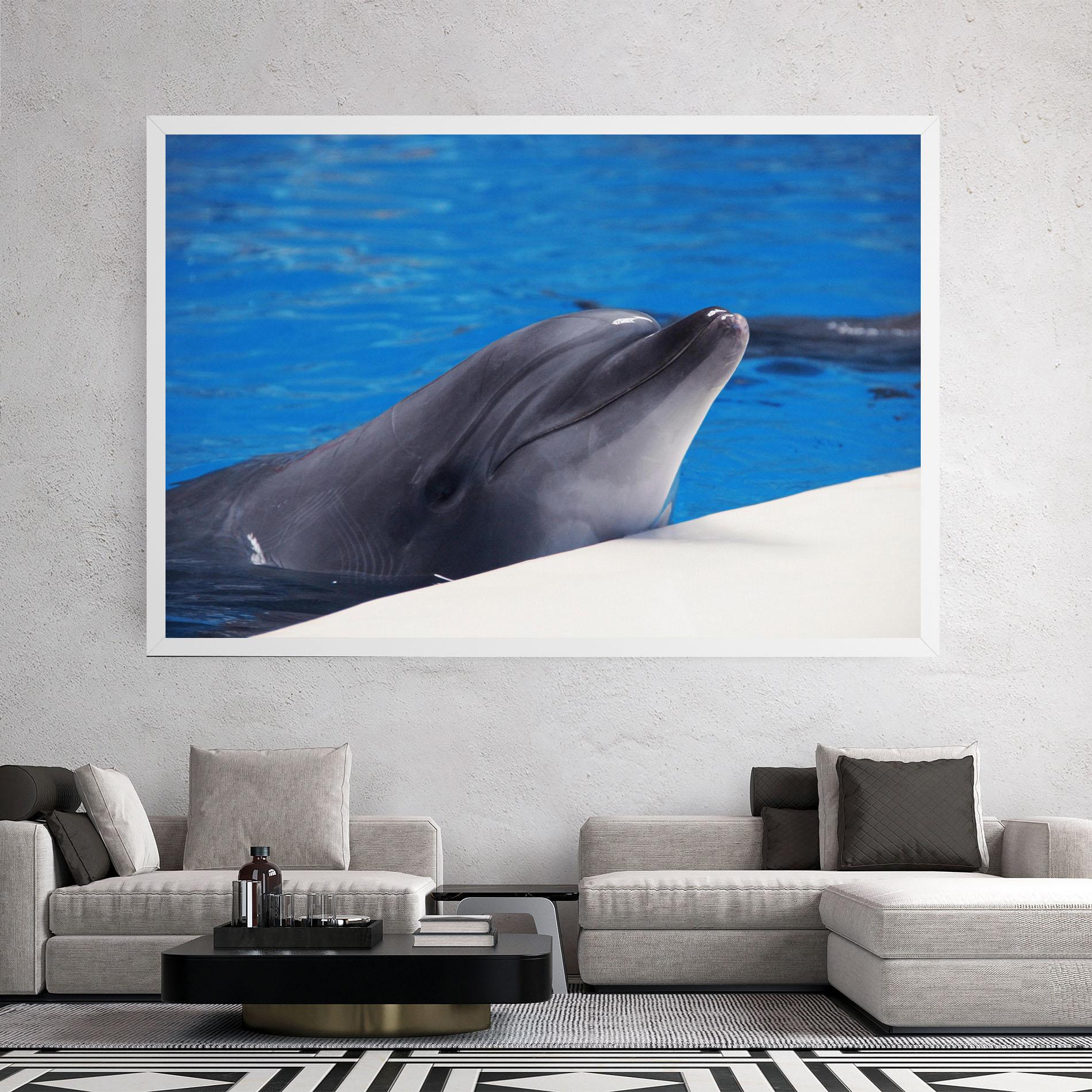 Tablou Canvas Cute Dolphin mockup 2