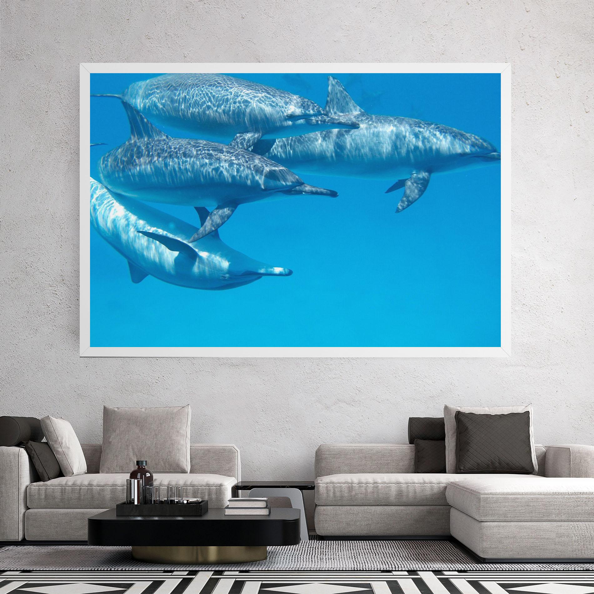 Tablou Canvas Family Of Dolphins mockup 2