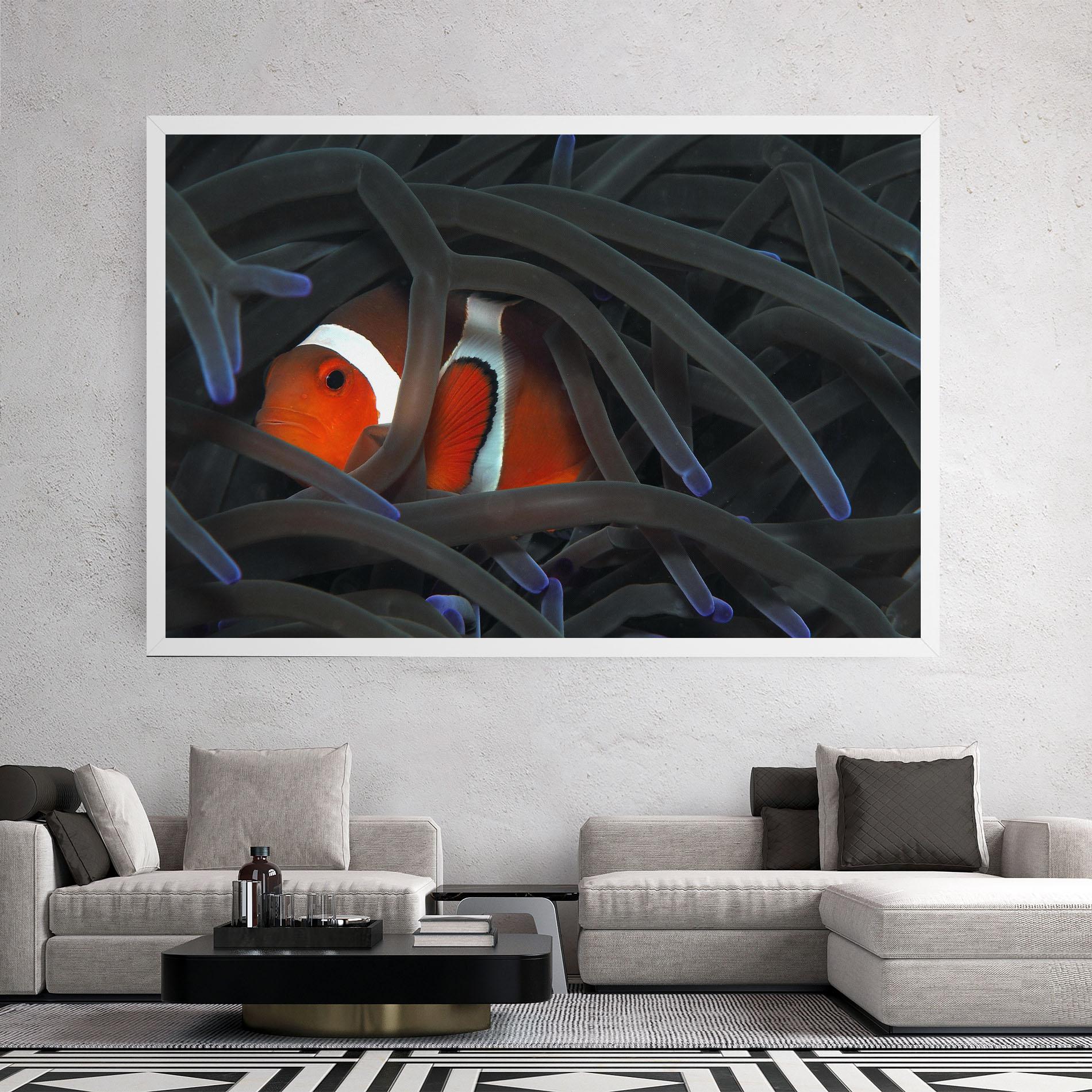 Tablou Canvas Nemo Hiding mockup 2