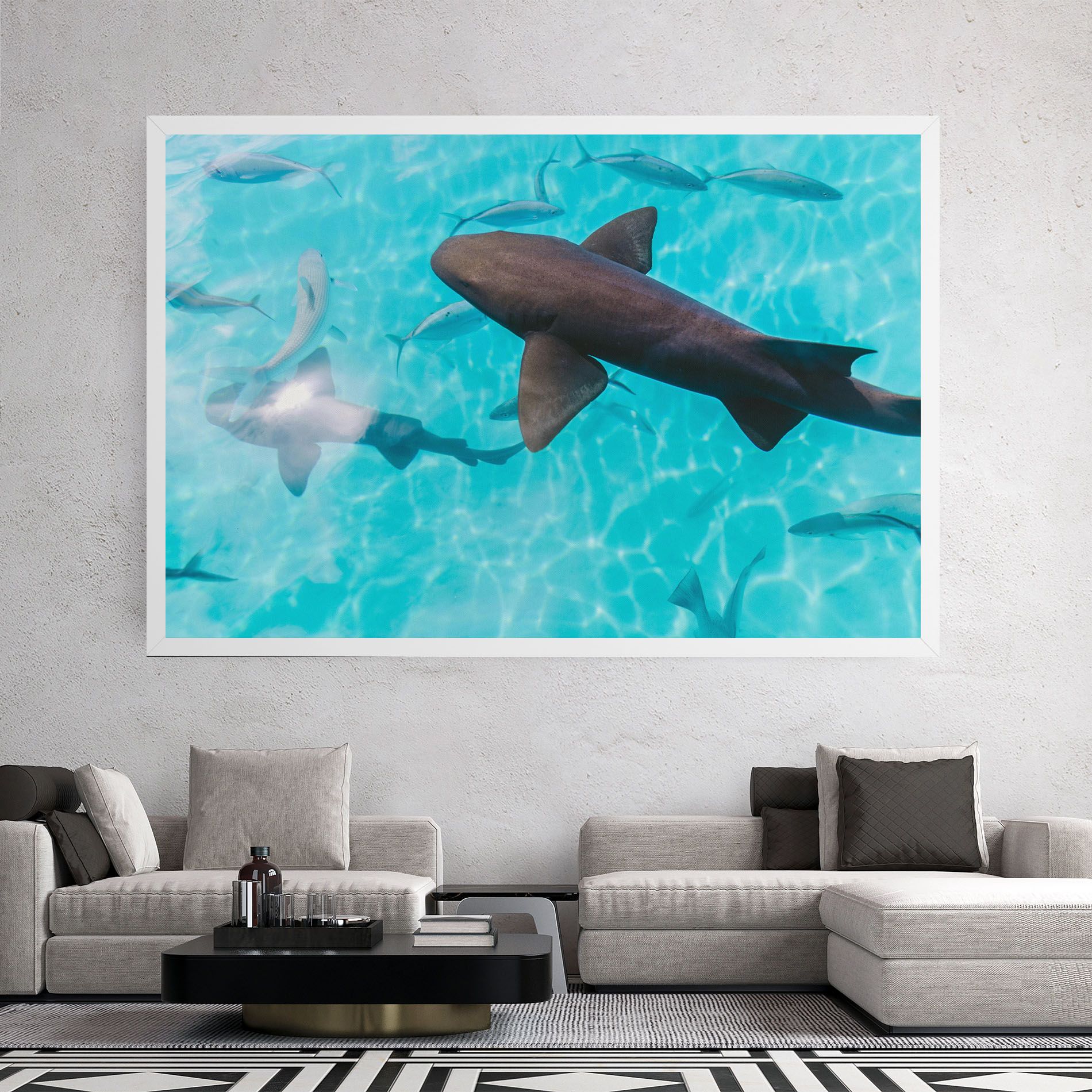 Pretty Shark mockup 2