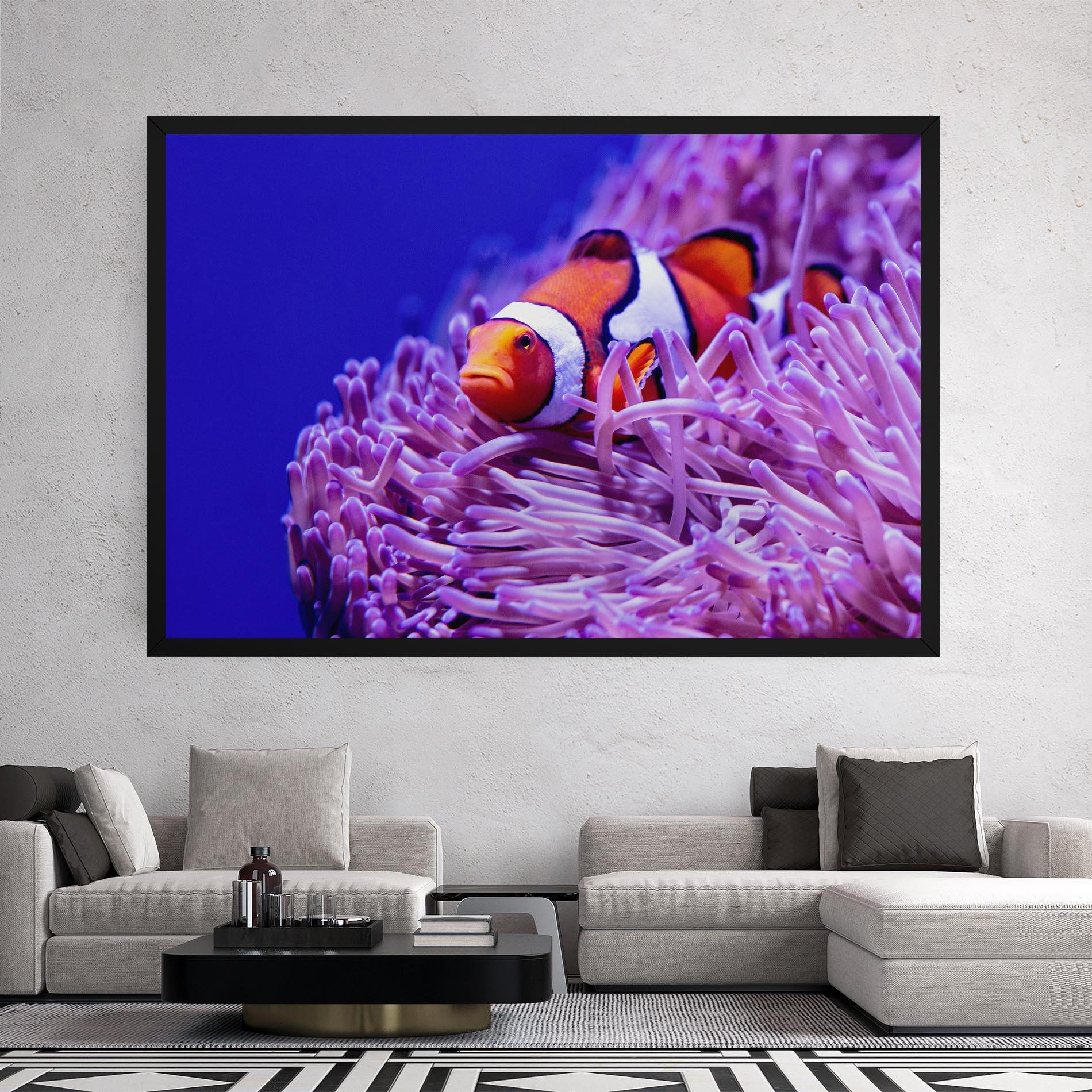 Tablou Canvas Angry Nemo mockup 2