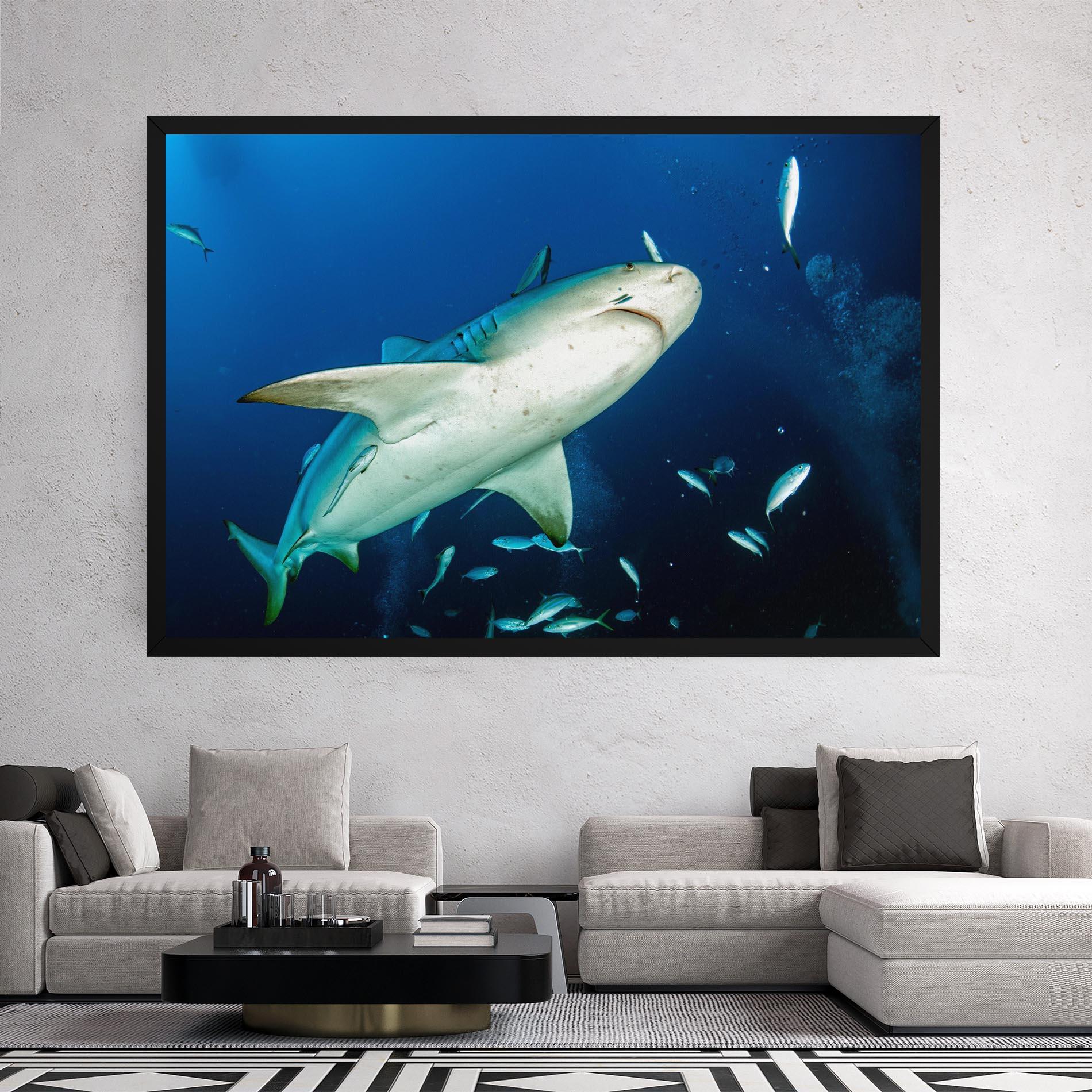 Tablou Canvas Bull Shark mockup 2