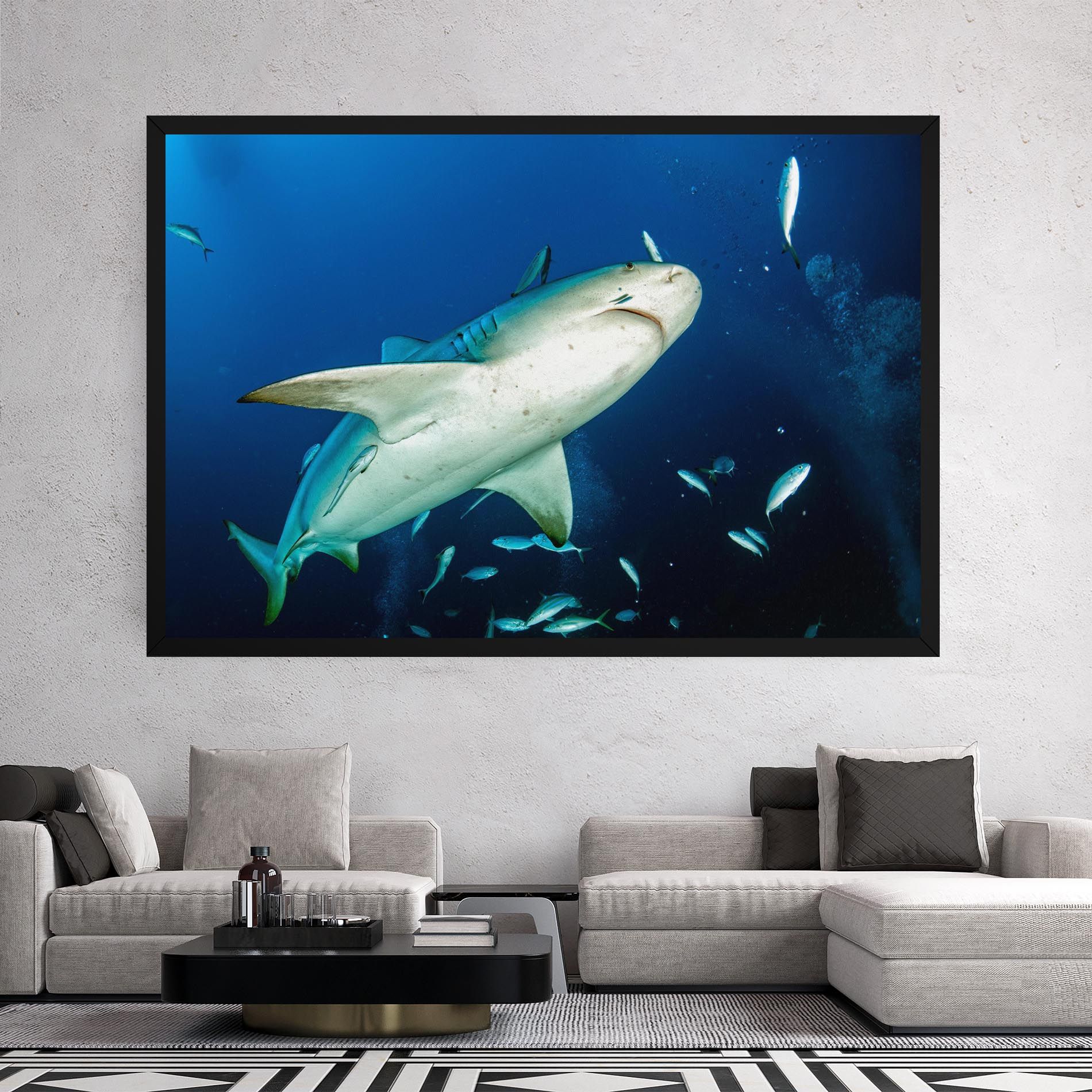 Bull Shark mockup 2