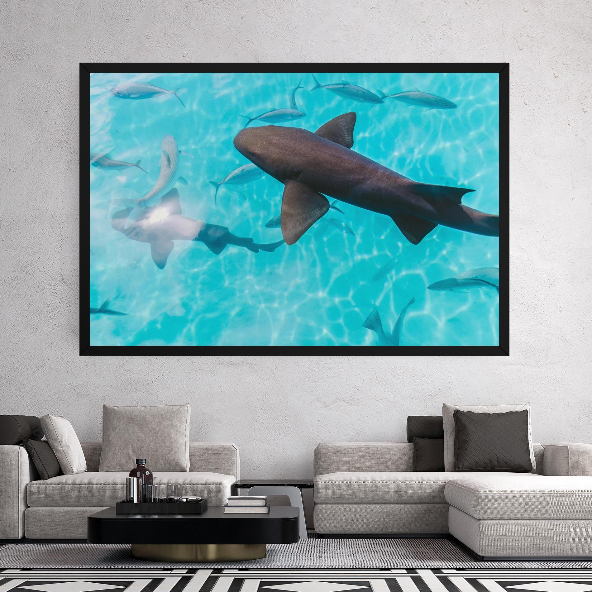 Pretty Shark mockup 2