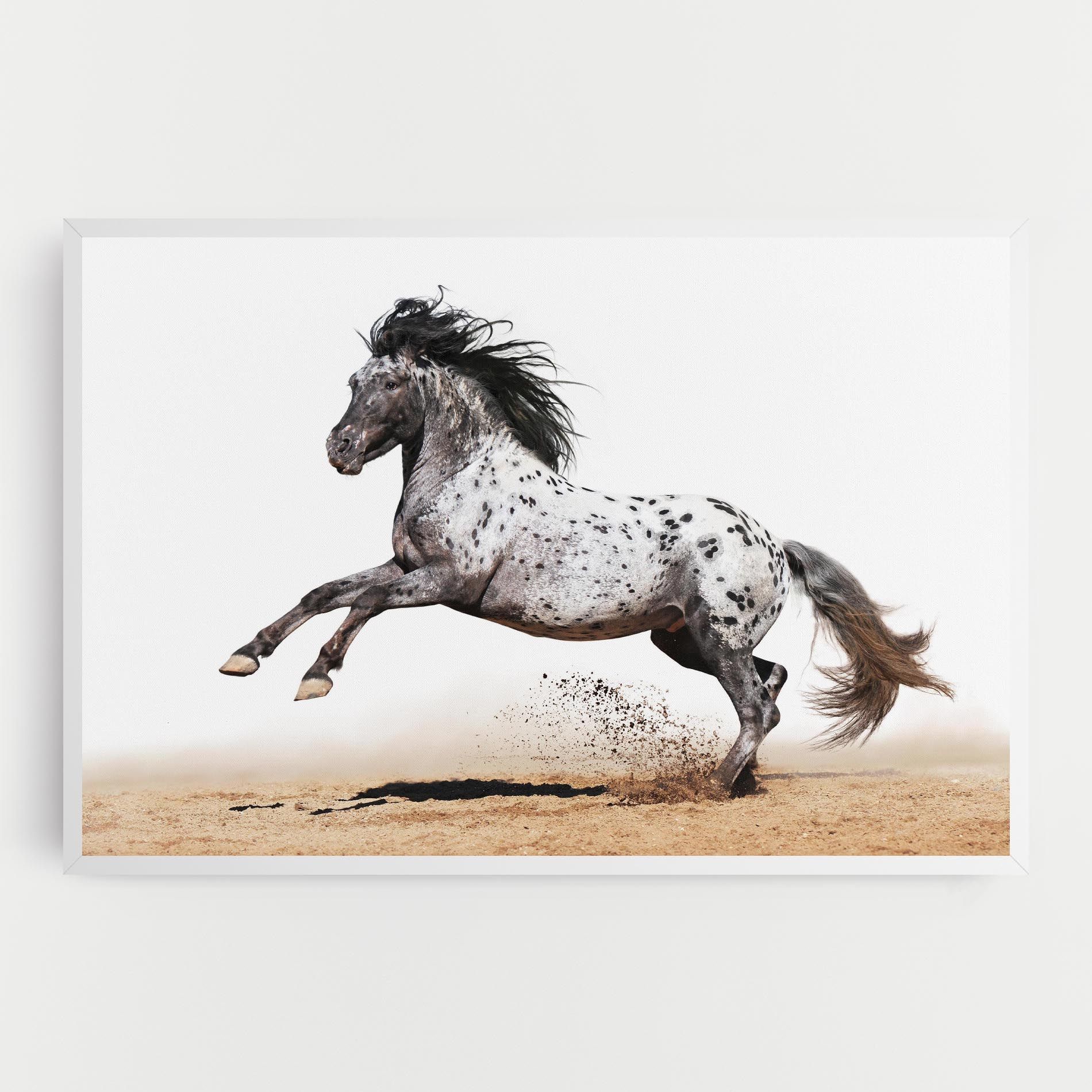 Appaloosa Horse Running mockup 0