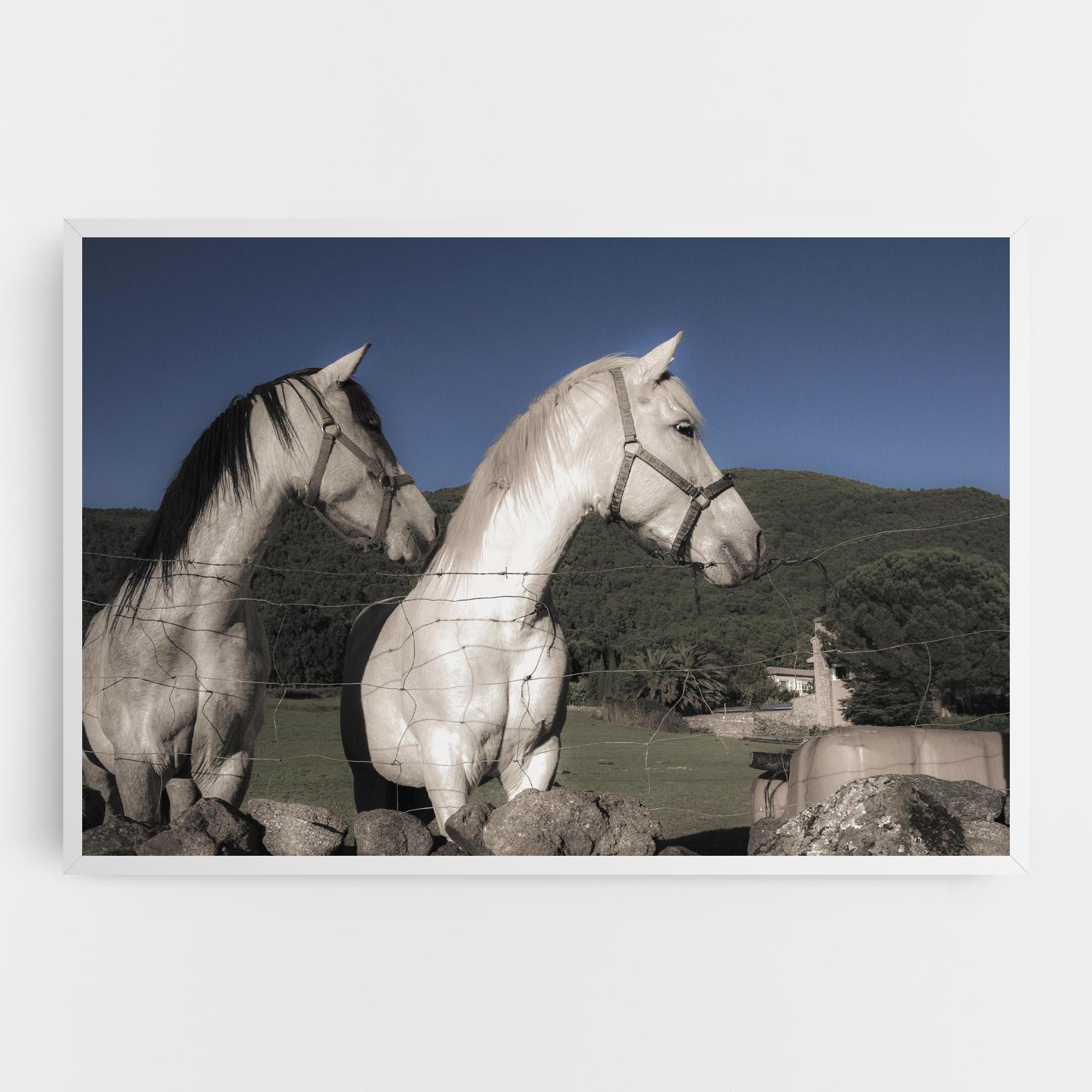 Tablou Canvas White Grey Horse mockup 0